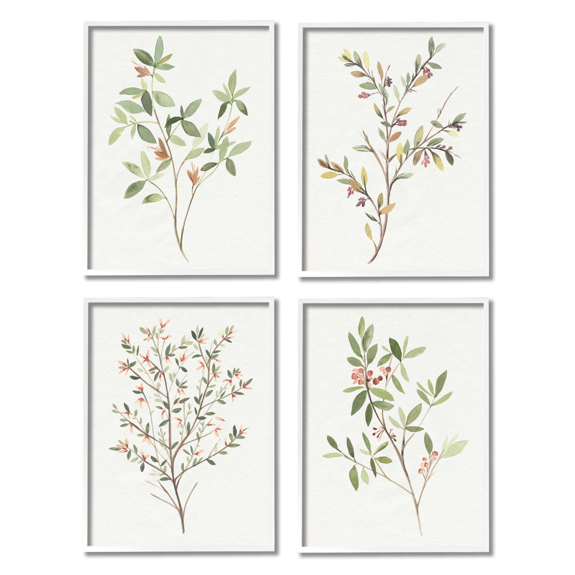 White Framed Botanical Canvas Prints, 11 x 14, Set of 4