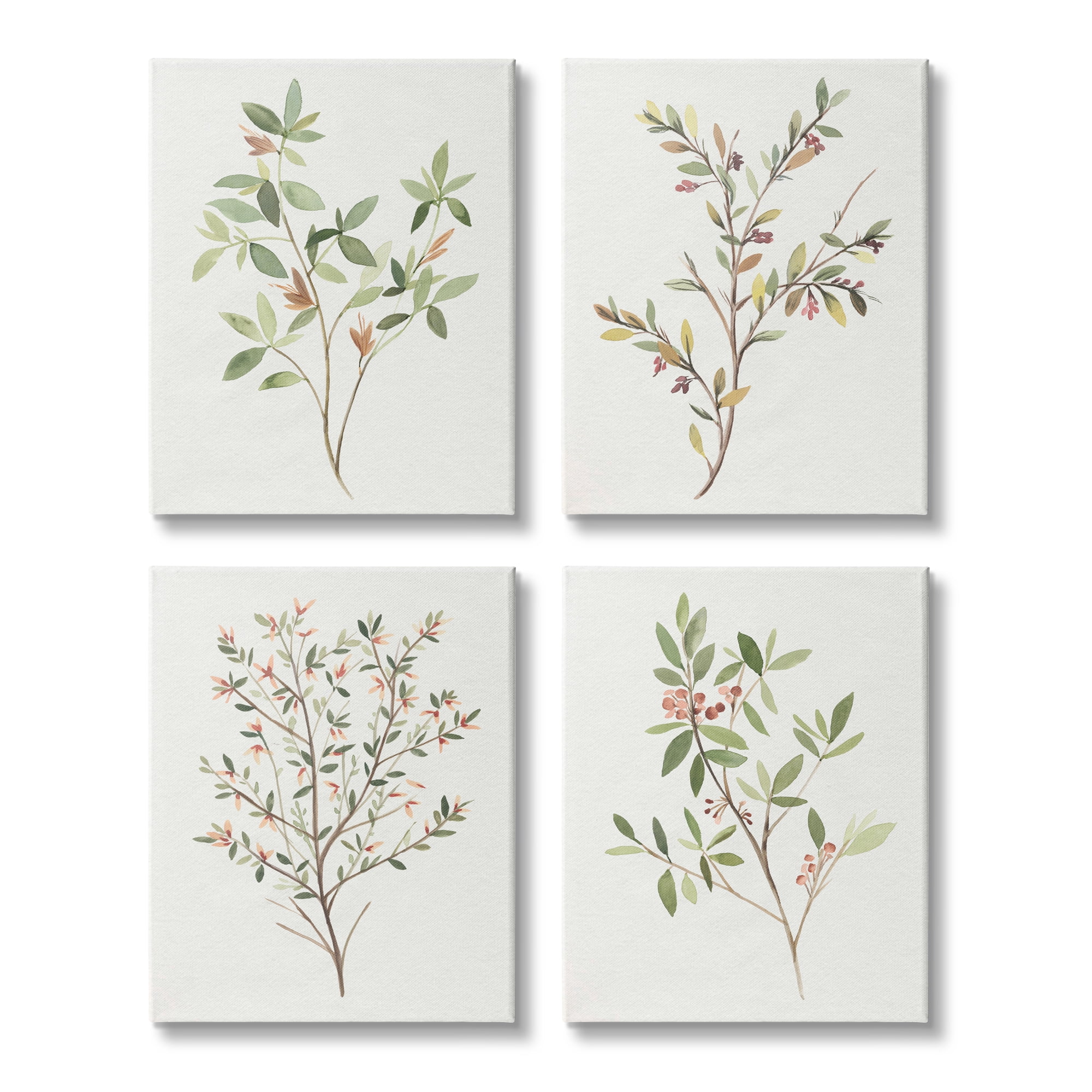 Stupell Industries Soft Farmhouse Botanicals Charming Wild Foliage Plant Illustration, 16 x 20, Design by Annie Warren