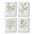 thumbnail image 1 of Stupell Industries Soft Farmhouse Botanicals Charming Wild Foliage Plant Illustration, 16 x 20, Design by Annie Warren, 1 of 6