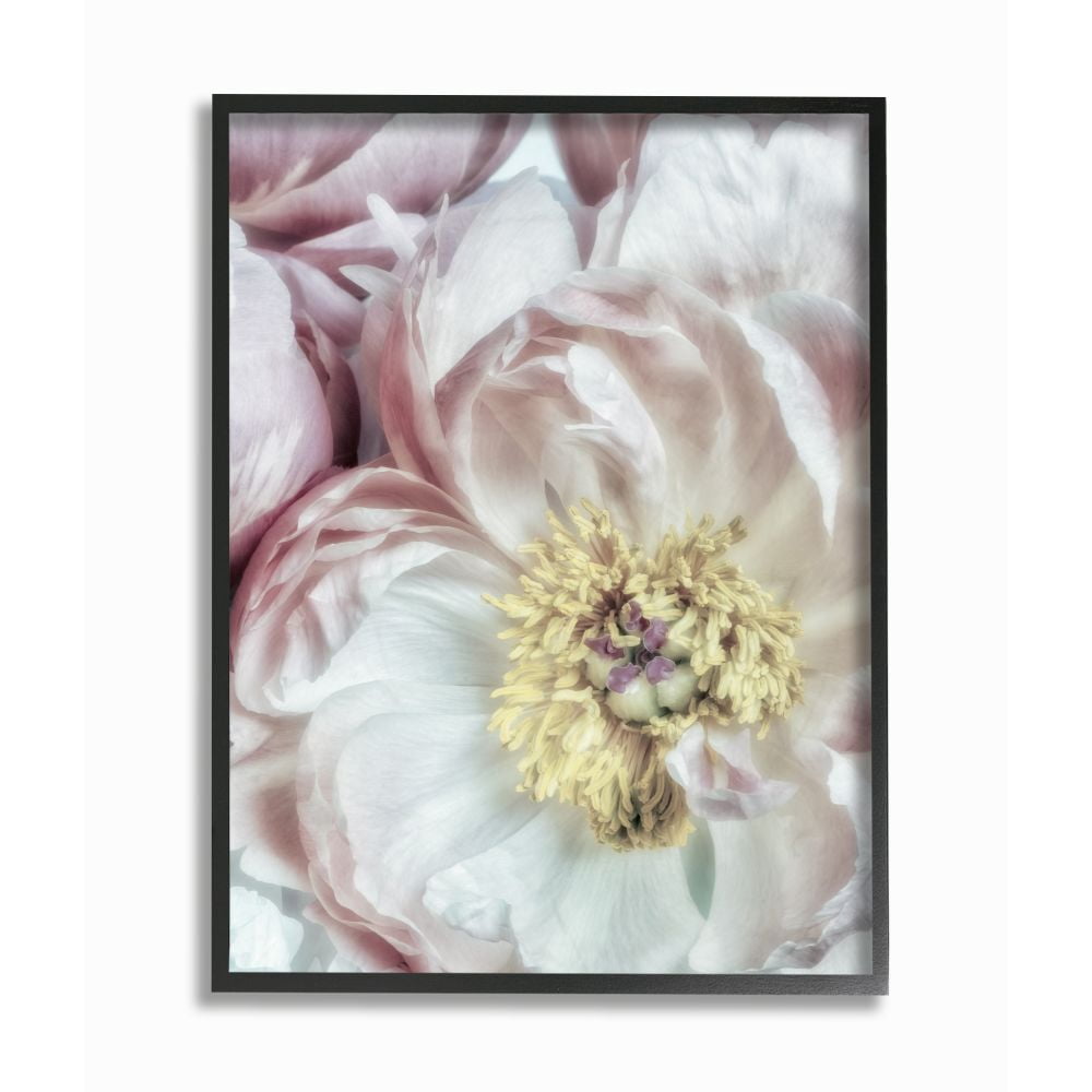 Stupell Industries Soft Flower Bloom Neutral Pink White Photograph Framed Wall Art by Dianne Poinski, 11" x 14", Black Framed