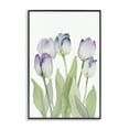 thumbnail image 1 of Stupell Industries Soft Garden Tulips Botanical & Floral Painting Black Framed Art Print Wall Art, 16 x 24, 1 of 10
