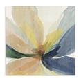thumbnail image 1 of Stupell Industries Contemporary Soft Harmonious Petals Canvas Art, 36 x 36, by Irena Orlov, 1 of 8