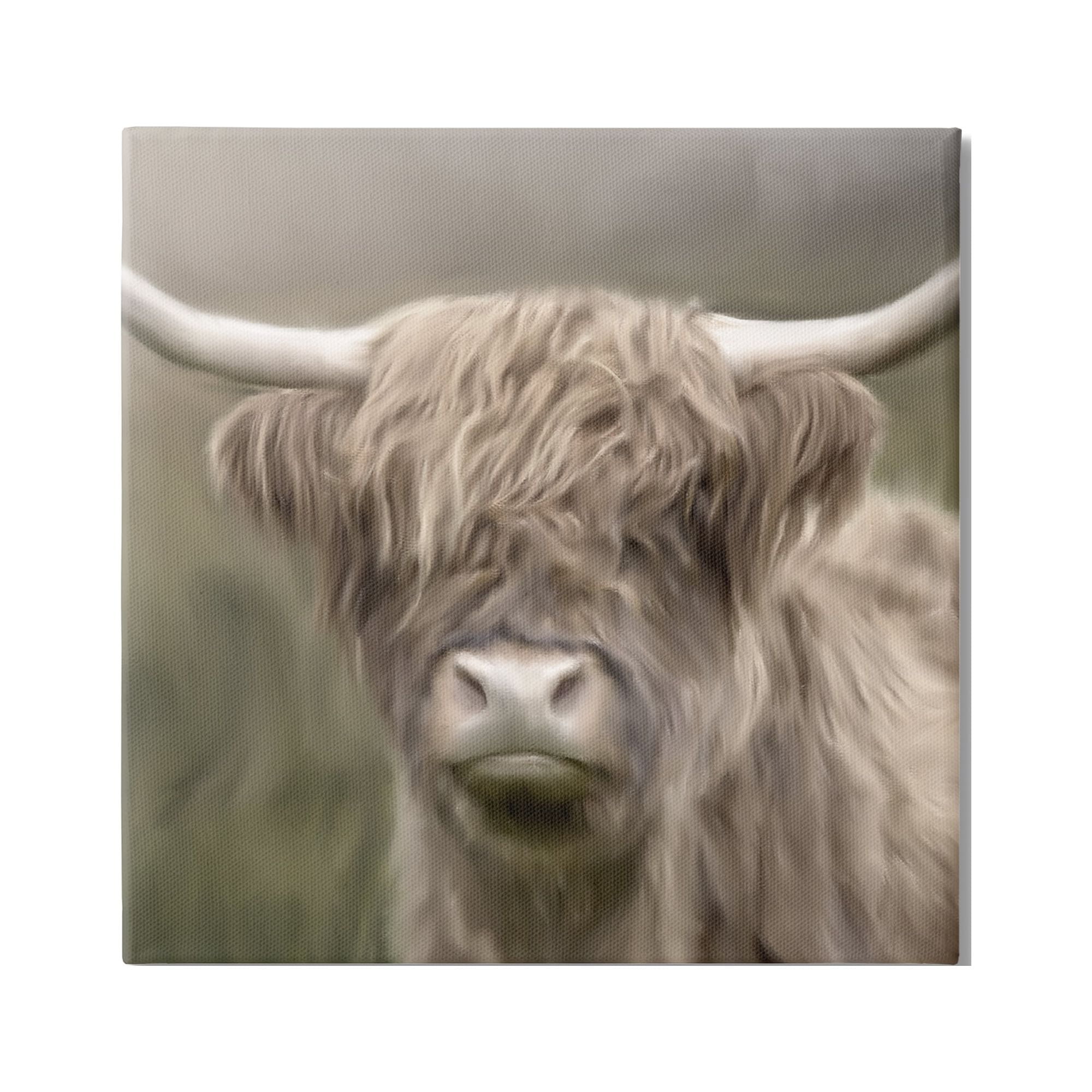 Stupell Industries Soft Highland Cow Animals & Insects Painting Gallery Wrapped Canvas Art Print Wall Art, 30 x 30