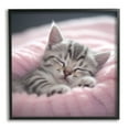 thumbnail image 1 of Stupell Industries Soft Kitten Tucked In Animals & Insects Painting Black Framed Art Print Wall Art, 17 x 17, 1 of 9