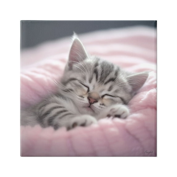 Stupell Industries Soft Kitten Tucked In Animals & Insects Painting Gallery Wrapped Canvas Art Print Wall Art, 30 x 30