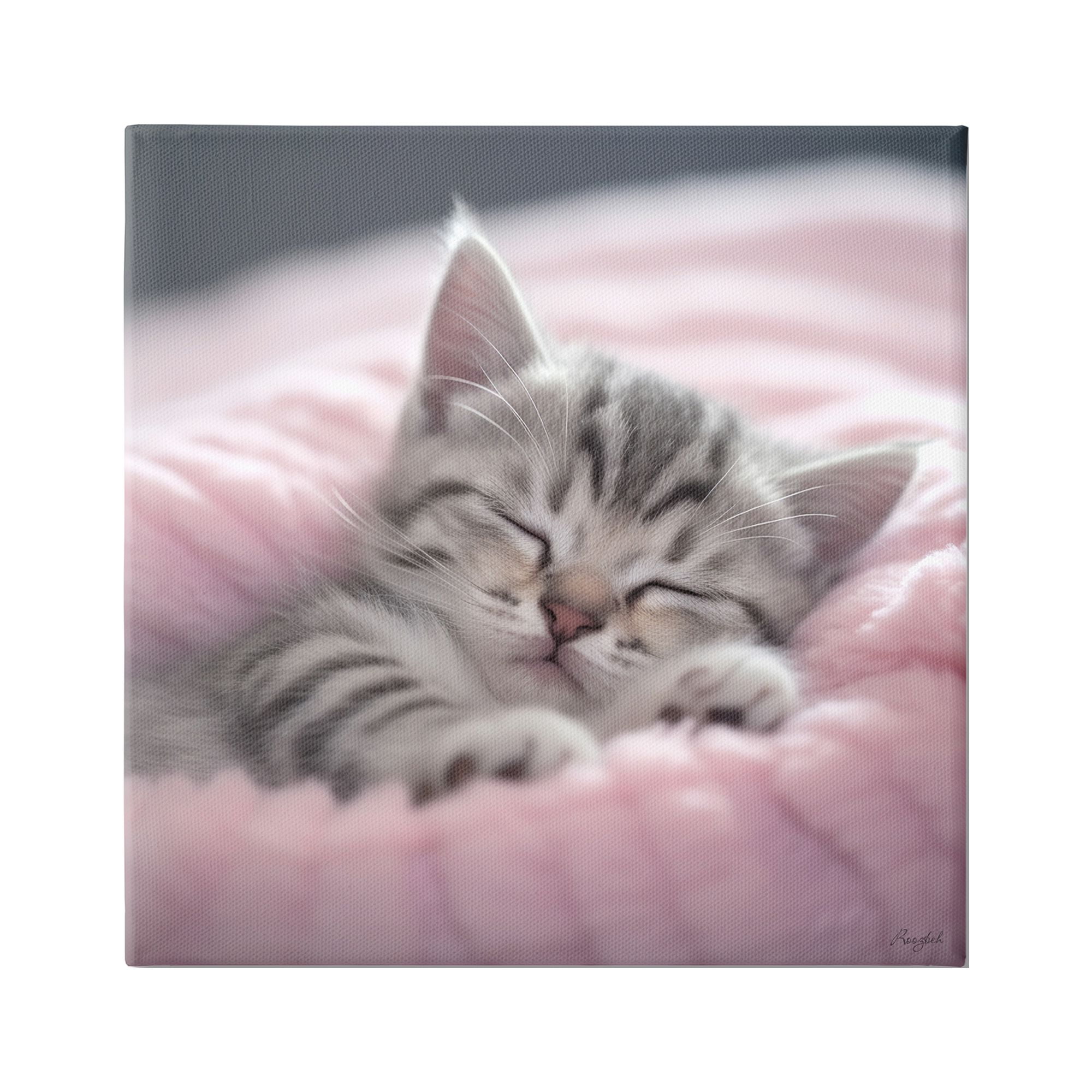 Stupell Industries Soft Kitten Tucked In Animals & Insects Painting Gallery Wrapped Canvas Art Print Wall Art, 36 x 36