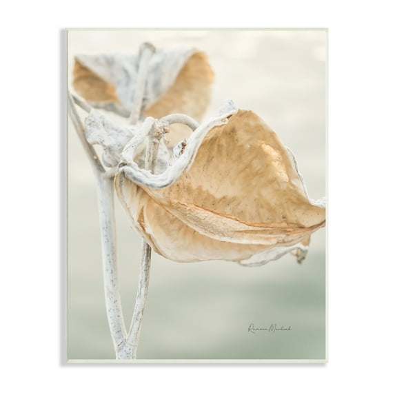 Stupell Industries Soft Milkweed Plant Photography Neutral Tones Beige Green, 10 x 15, Design by Ramona Murdock