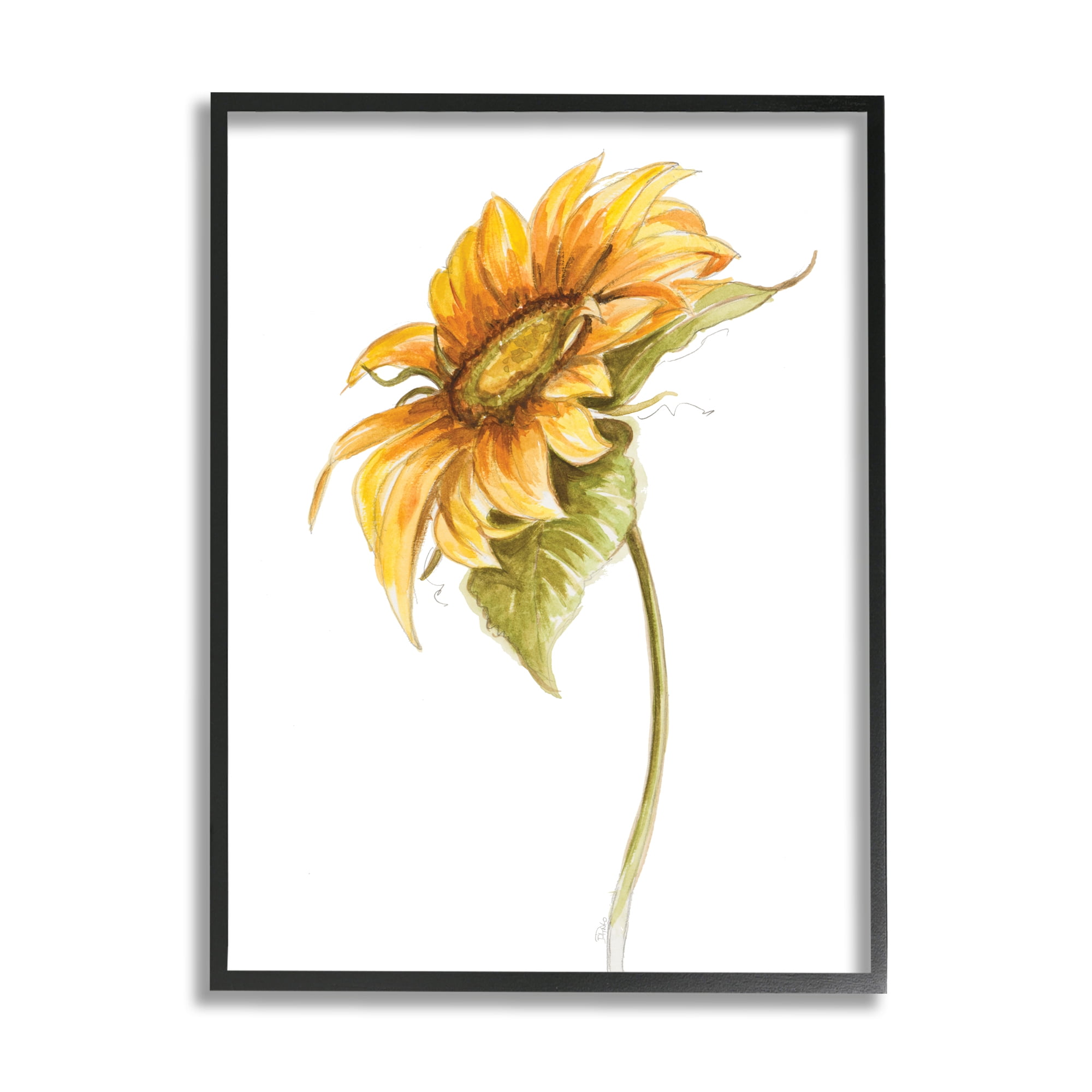 Stupell Industries Soft Minimal Sunflower Floral Warm Summer Tones, 11 x 14, Designed by Patricia Pinto
