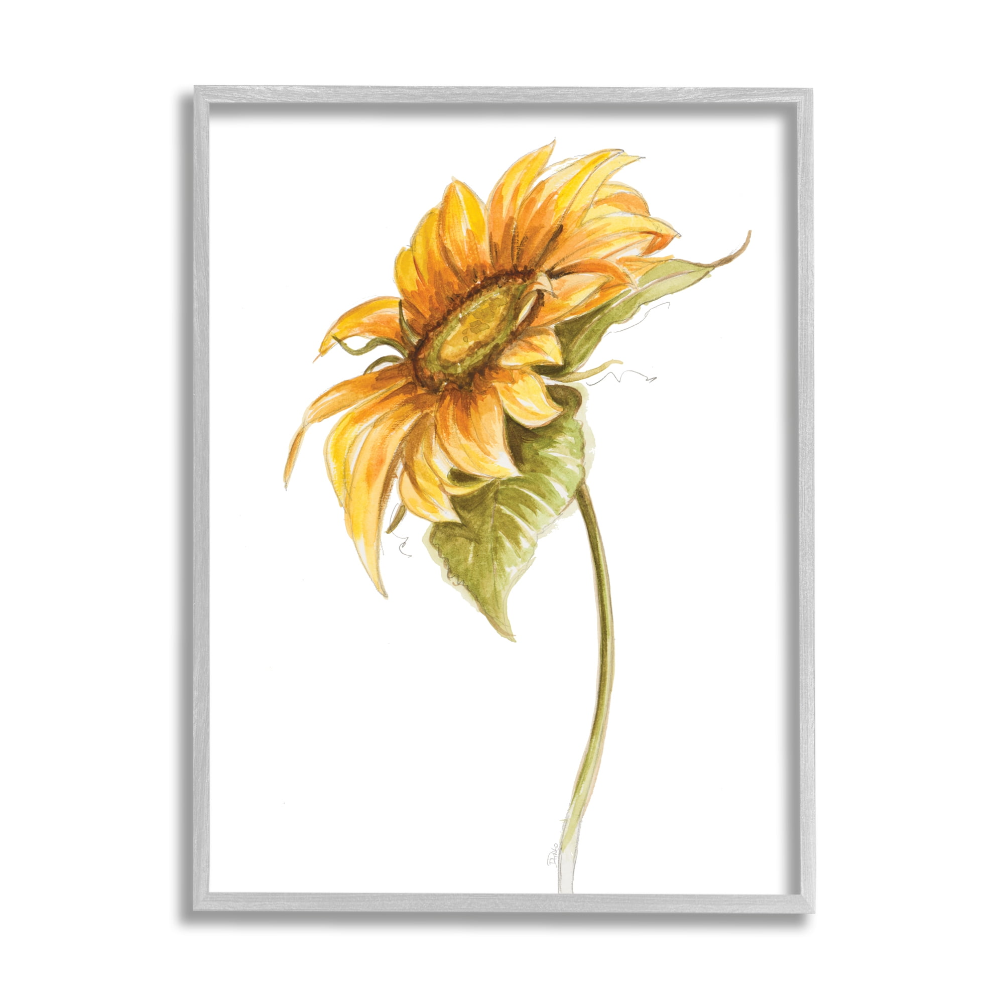 Stupell Industries Soft Minimal Sunflower Floral Warm Summer Tones, 11 x 14, Designed by Patricia Pinto