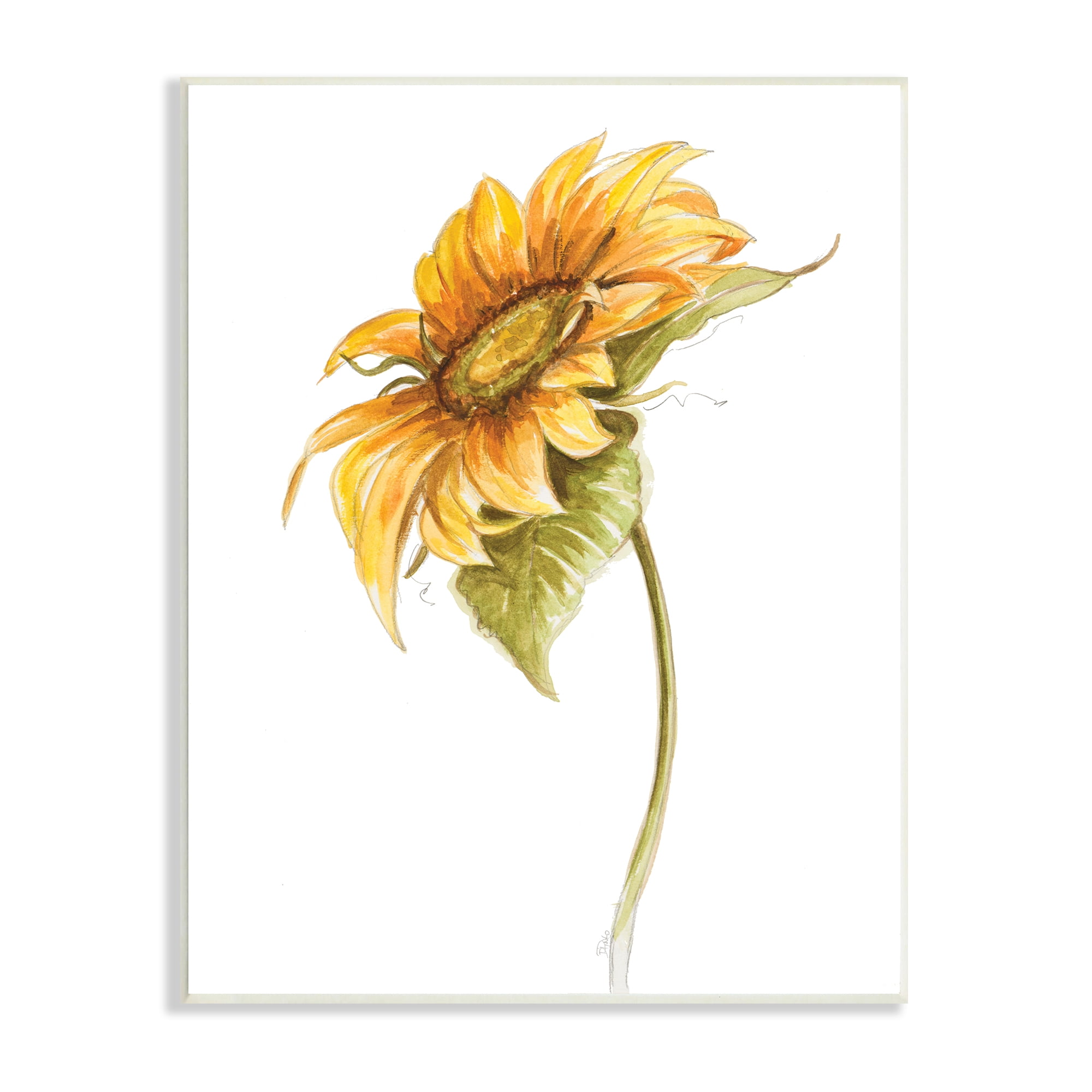 Stupell Industries Soft Minimal Sunflower Floral Warm Summer Tones, 13 x 19, Designed by Patricia Pinto