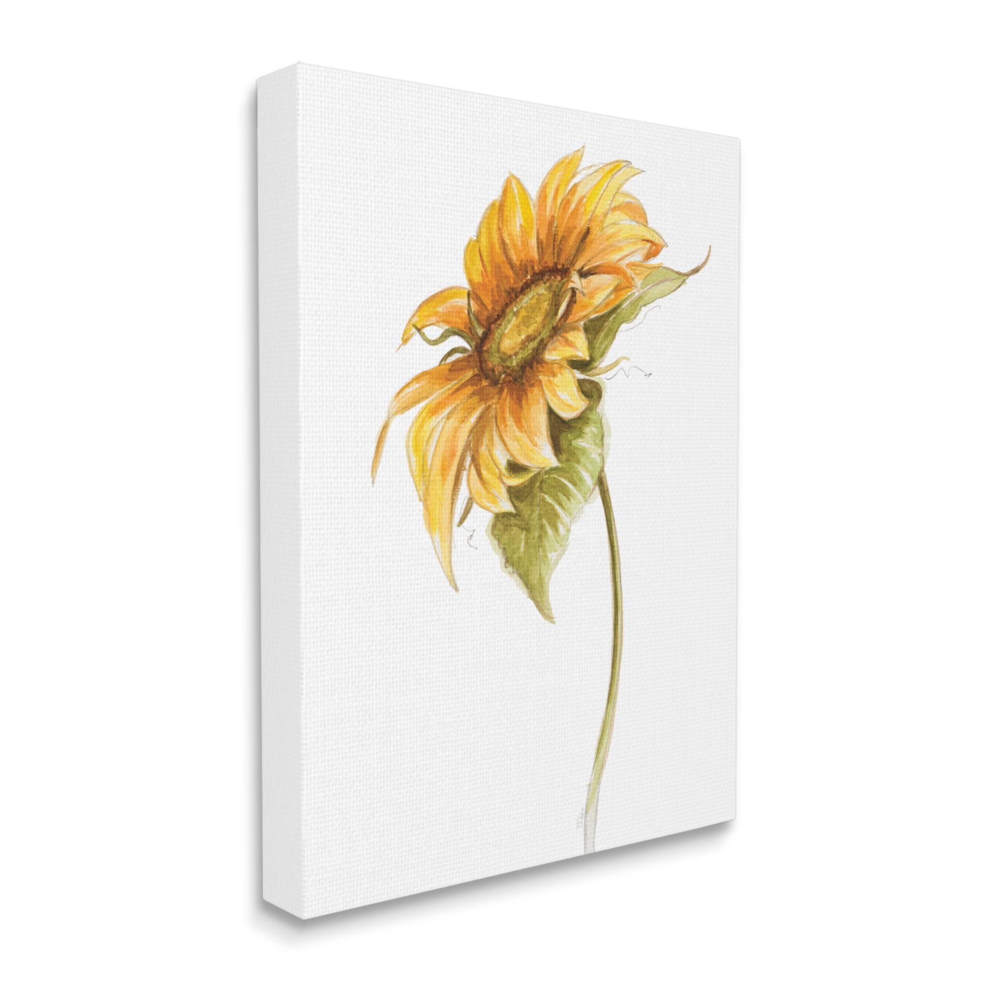 Stupell Industries Soft Minimal Sunflower Floral Warm Summer Tones, 16 x 20, Designed by Patricia Pinto