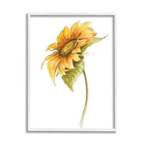 Stupell Industries Soft Minimal Sunflower Floral Warm Summer Tones Drawings White Framed Art Print Wall Art, 11x14, by Patricia Pinto