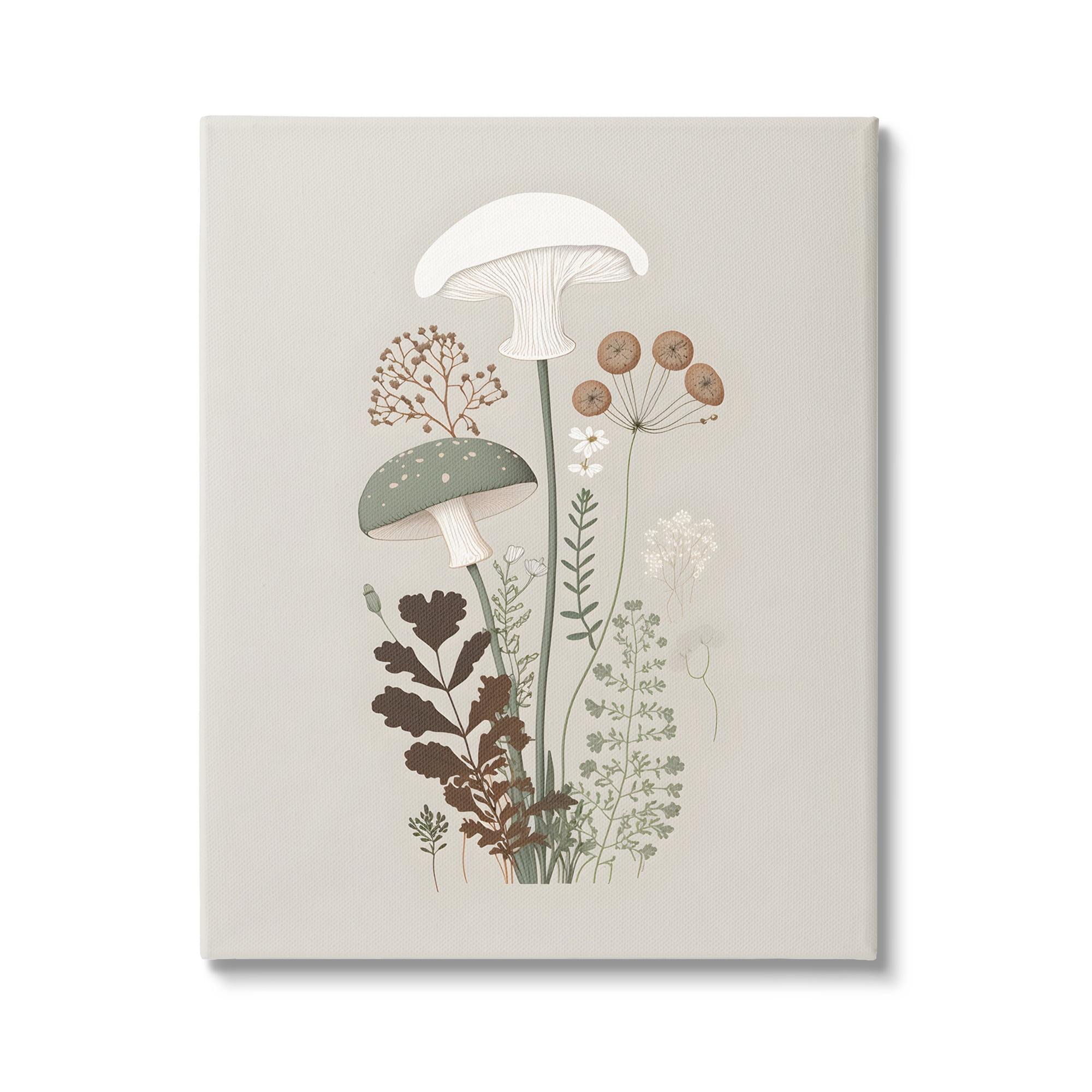 Stupell Industries Soft Mushrooms on Grey Botanical & Floral Painting Gallery Wrapped Canvas Art Print Wall Art, 24 x 30
