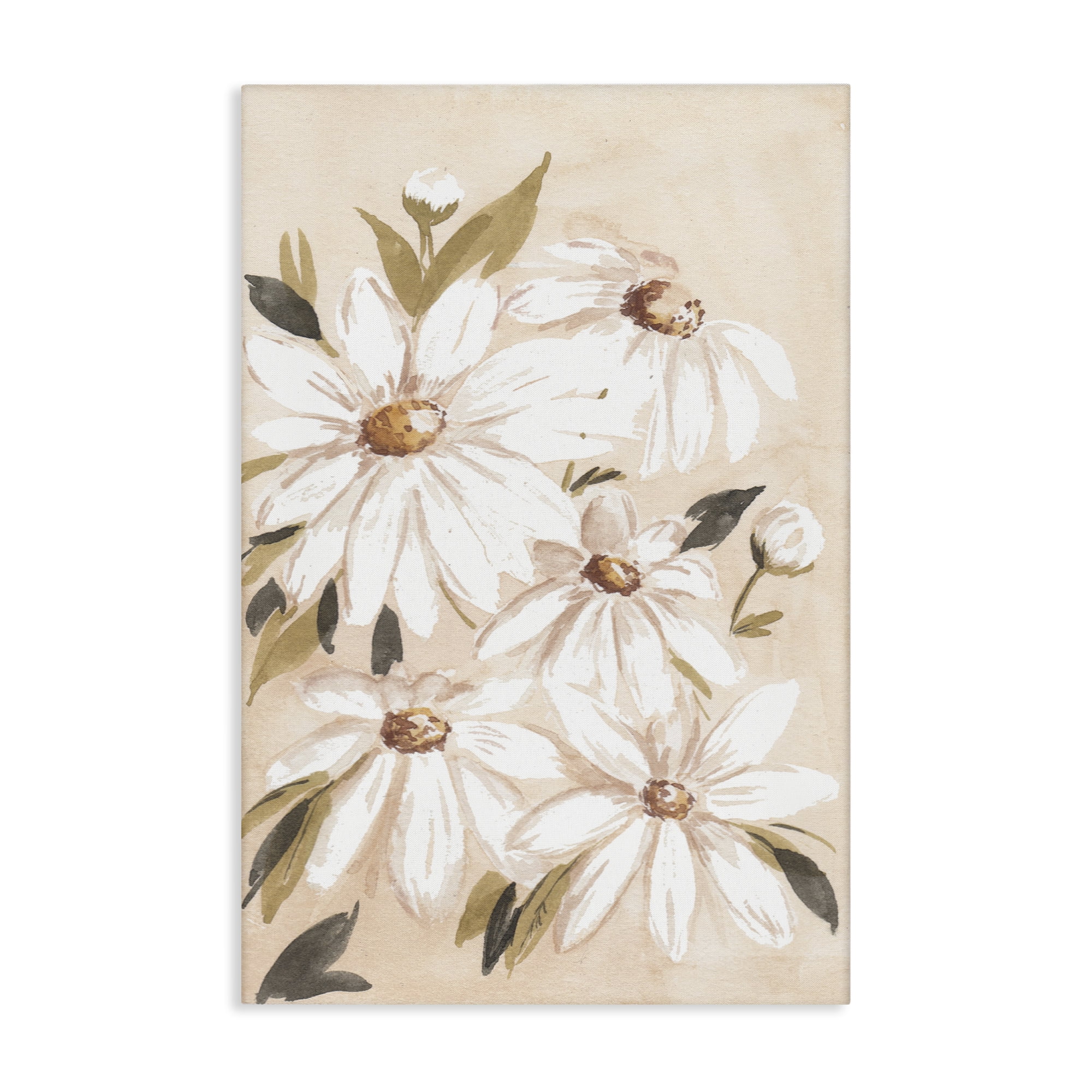 Stupell Industries Soft Muted Daisies Botanical & Floral Painting Gallery Wrapped Canvas Art Print Wall Art, 24 x 36