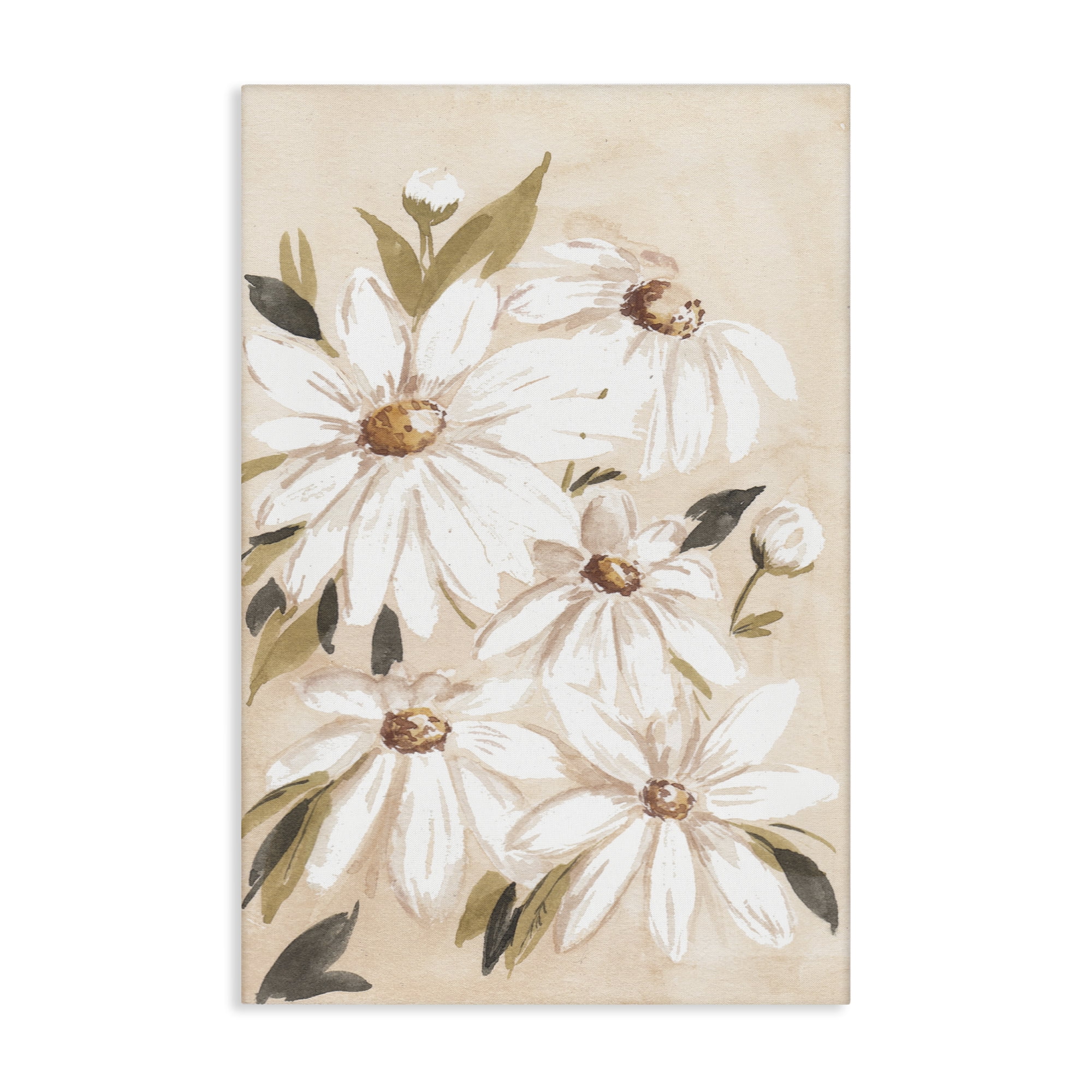 Stupell Industries Soft Muted Daisies Botanical & Floral Painting Gallery Wrapped Canvas Art Print Wall Art, 30 x 45