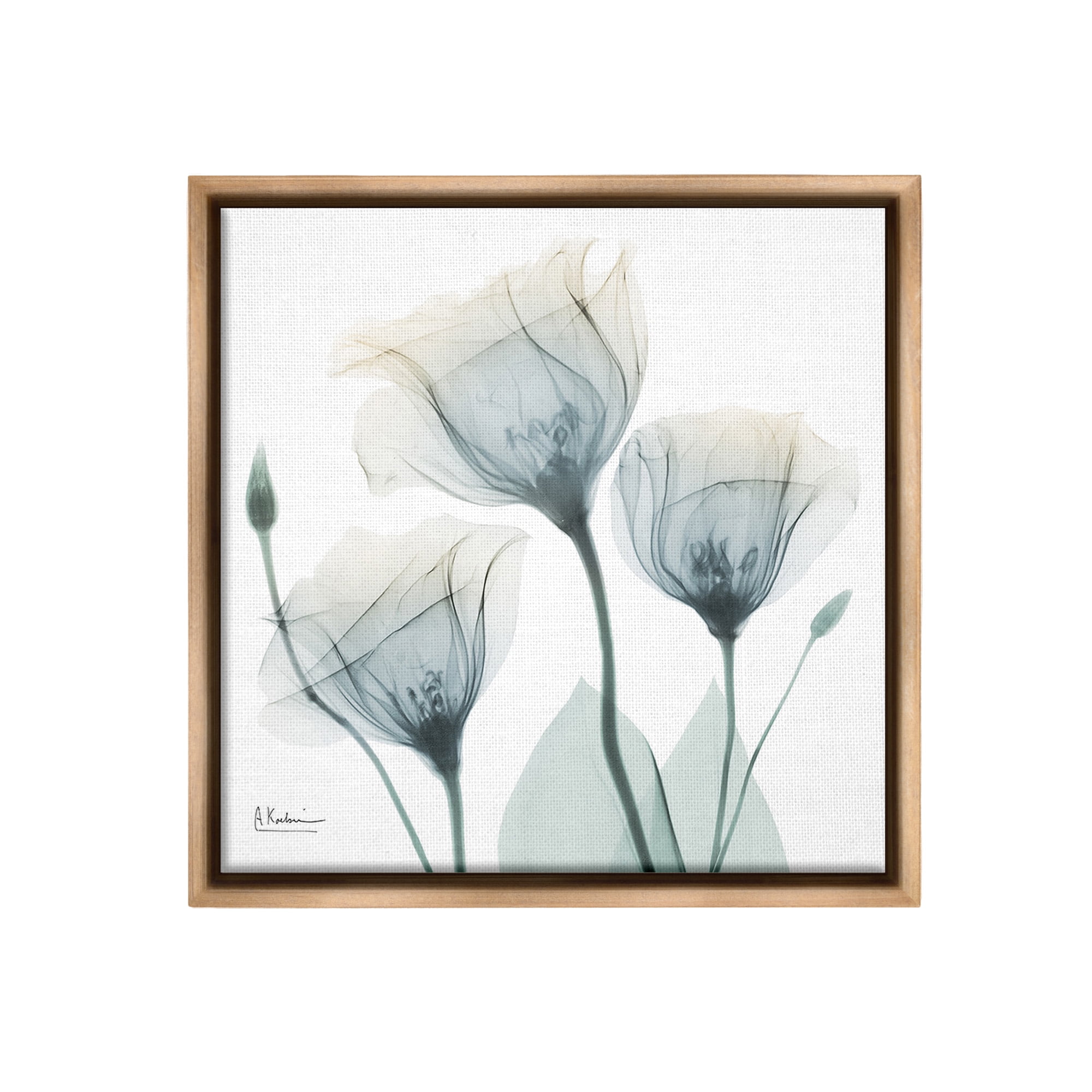 Stupell Industries Soft Opaque Tulips Botanical & Floral Photography Brown Floater Framed Canvas Art Print Wall Art, 18 x 18
