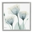 thumbnail image 1 of Stupell Industries Soft Opaque Tulips Botanical & Floral Photography Gray Framed Art Print Wall Art, 24 x 24, 1 of 9