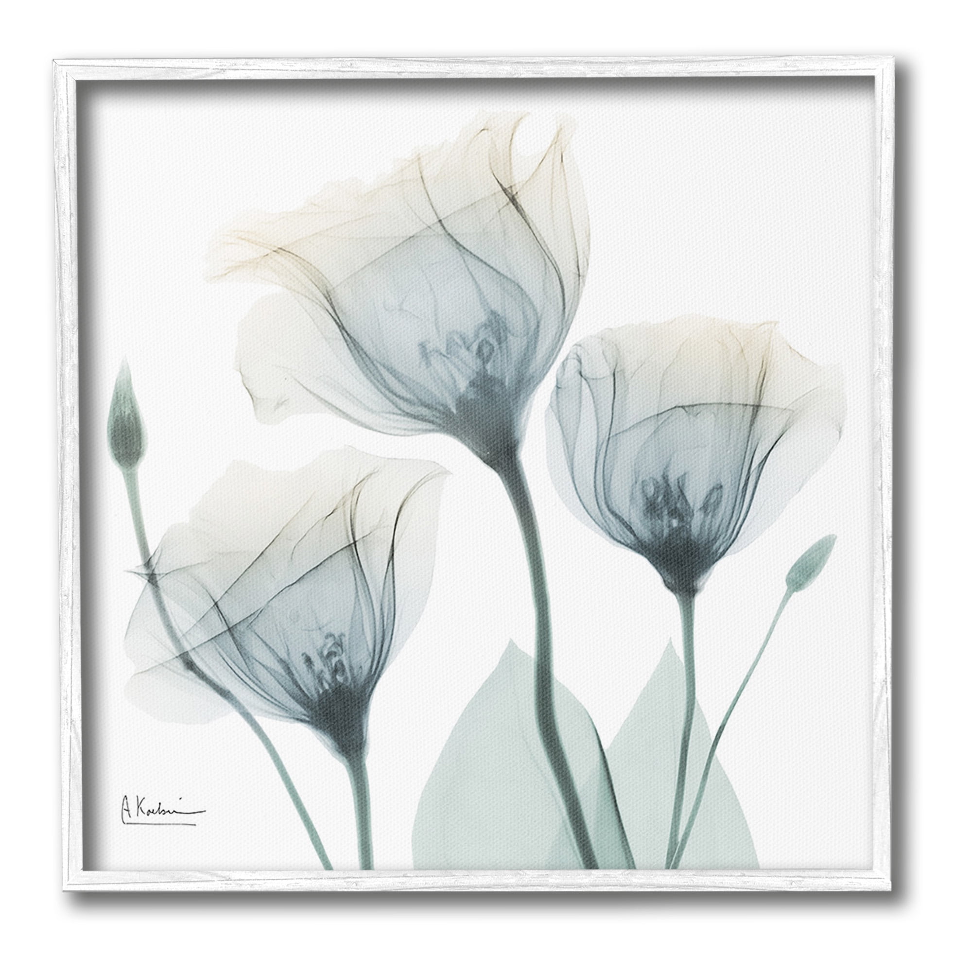 Stupell Industries Soft Opaque Tulips Botanical & Floral Photography White Framed Art Print Wall Art, 24 x 24