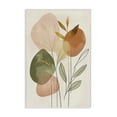 thumbnail image 1 of Stupell Industries Eclectic Soft Organic Shape Botanicals Canvas Art, 24 x 36, by LSR Design Studio, 1 of 8