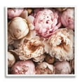 thumbnail image 1 of Stupell Industries Soft Peonies Photography Botanical & Floral Photography White Framed Art Print Wall Art, 17 x 17, 1 of 9