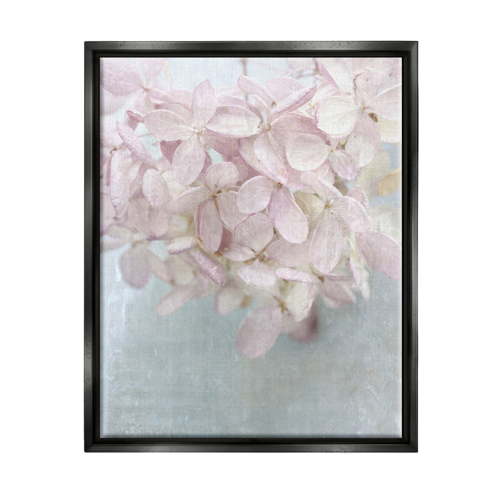 Stupell Industries Soft Pink Abstract Flower Petals Botanical & Floral Painting Black Floater Framed Art Print Wall Art