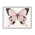 thumbnail image 1 of Stupell Industries Soft Pink Butterfly With Splatter Patterned Wings Animals & Insects Painting Gray Framed Art Print Wall Art, 24 x 30, 1 of 7
