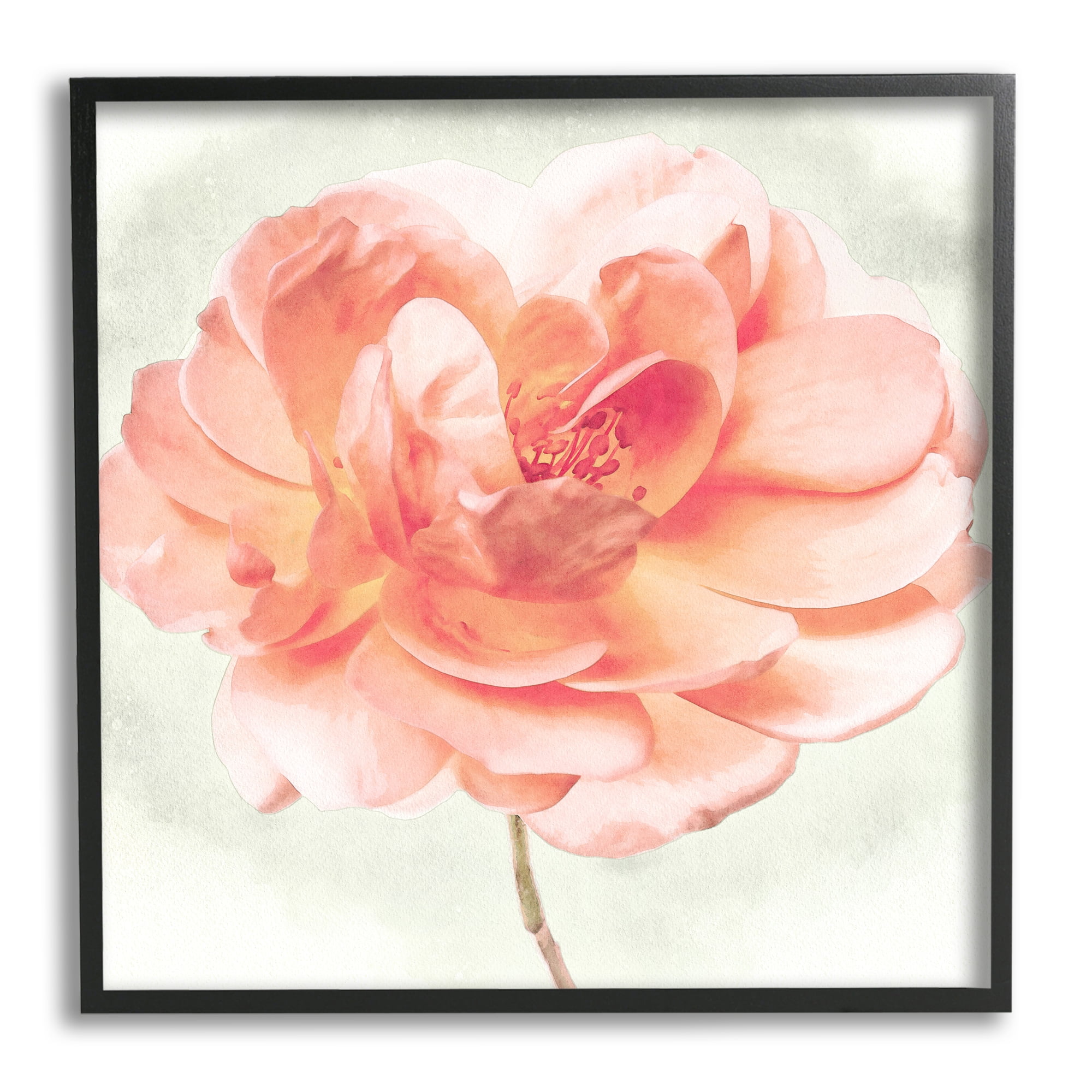 Stupell Industries Soft Pink Dahlia Botanical & Floral Painting Black Framed Art Print Wall Art, 17 x 17