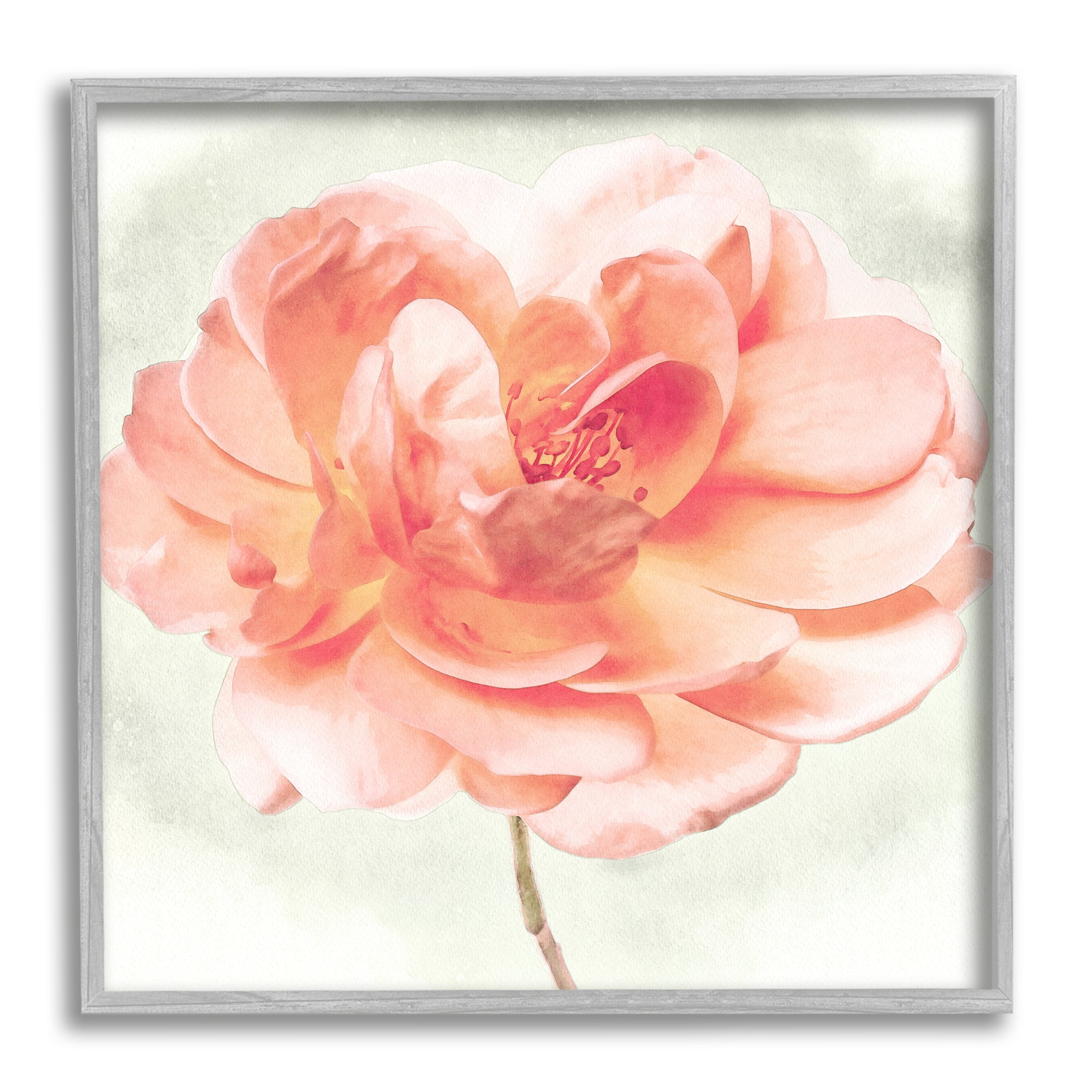 Stupell Industries Soft Pink Dahlia Botanical & Floral Painting Gray Framed Art Print Wall Art, 17 x 17