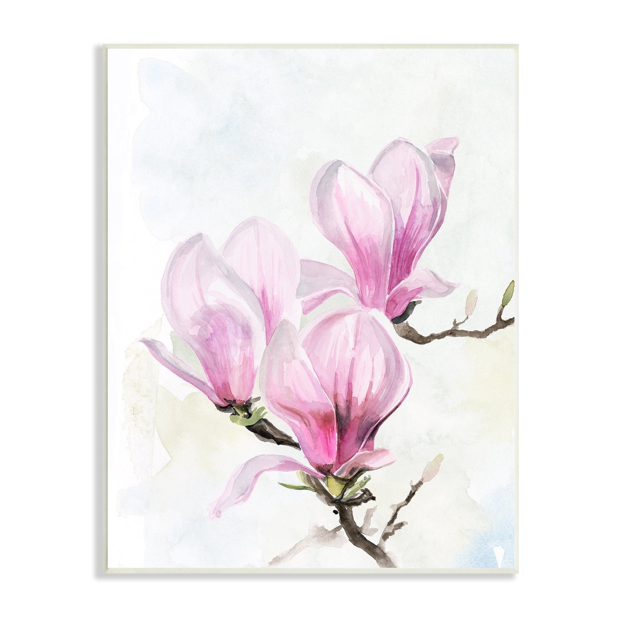 Stupell Industries Soft Pink Magnolia Blossoms Watercolor Floral Painting, 10 x 15,Design by Jennifer Paxton Parker