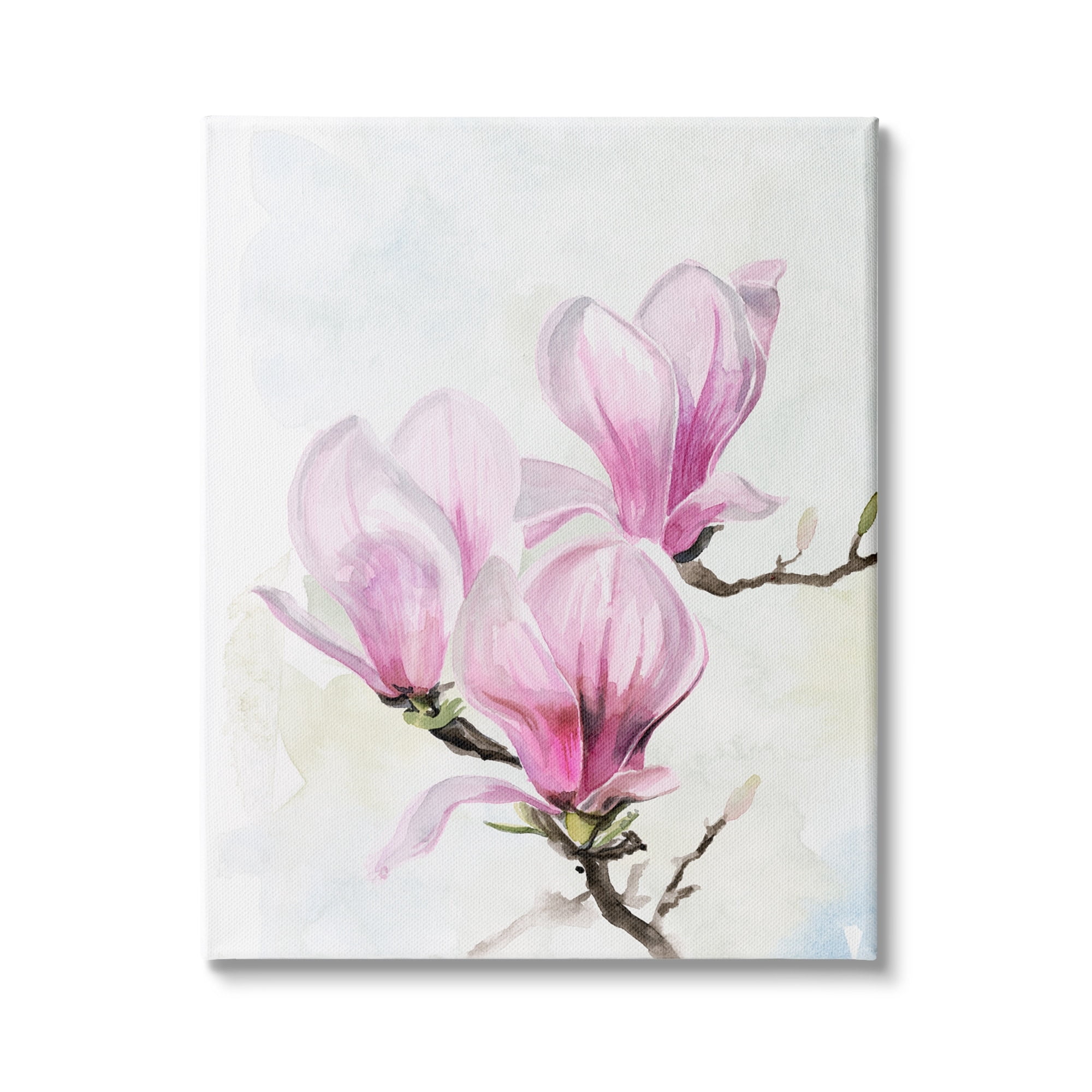 Stupell Industries Soft Pink Magnolia Blossoms Watercolor Floral Painting, 24 x 30,Design by Jennifer Paxton Parker