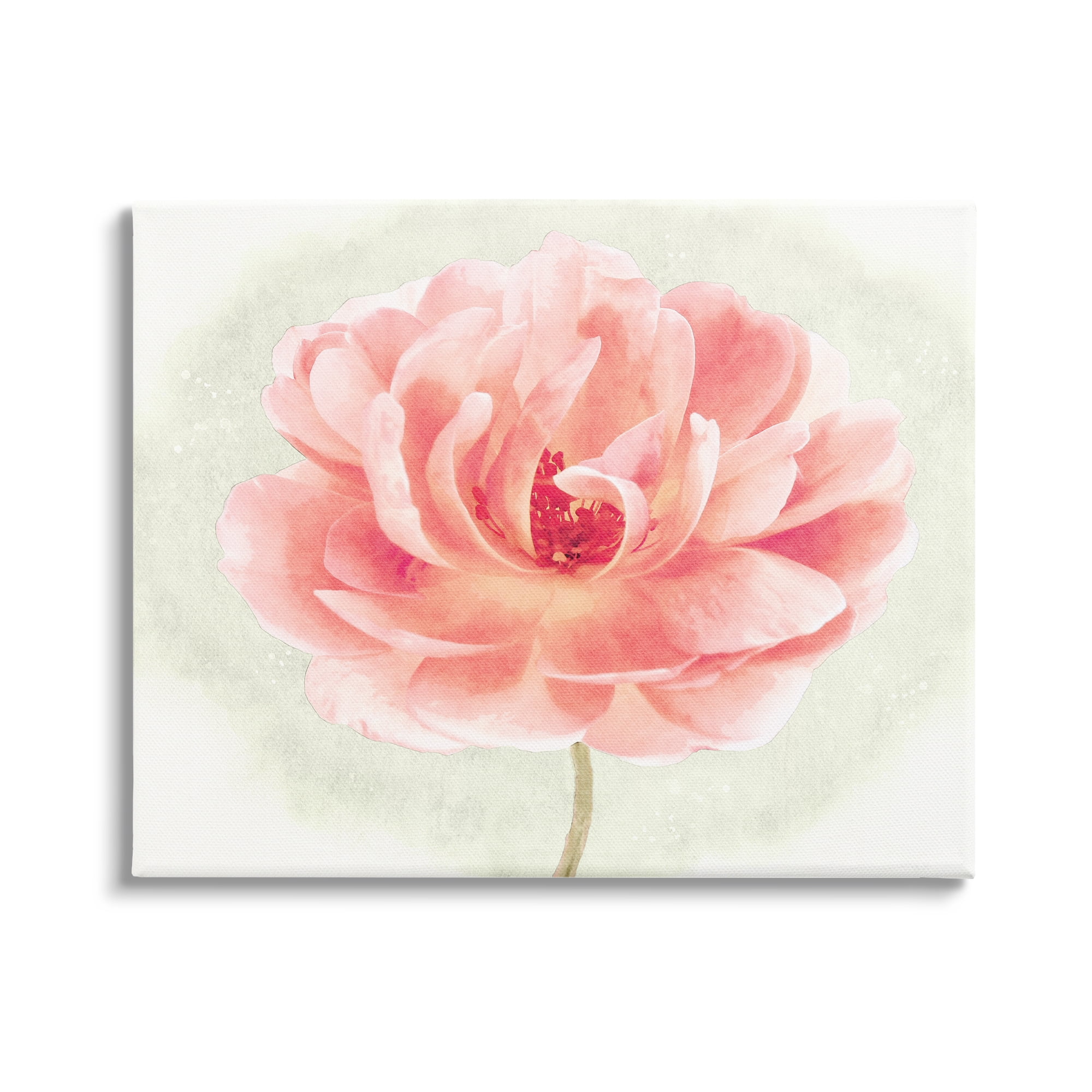 Stupell Industries Soft Pink Peony Botanical & Floral Painting Gallery Wrapped Canvas Art Print Wall Art, 30 x 24