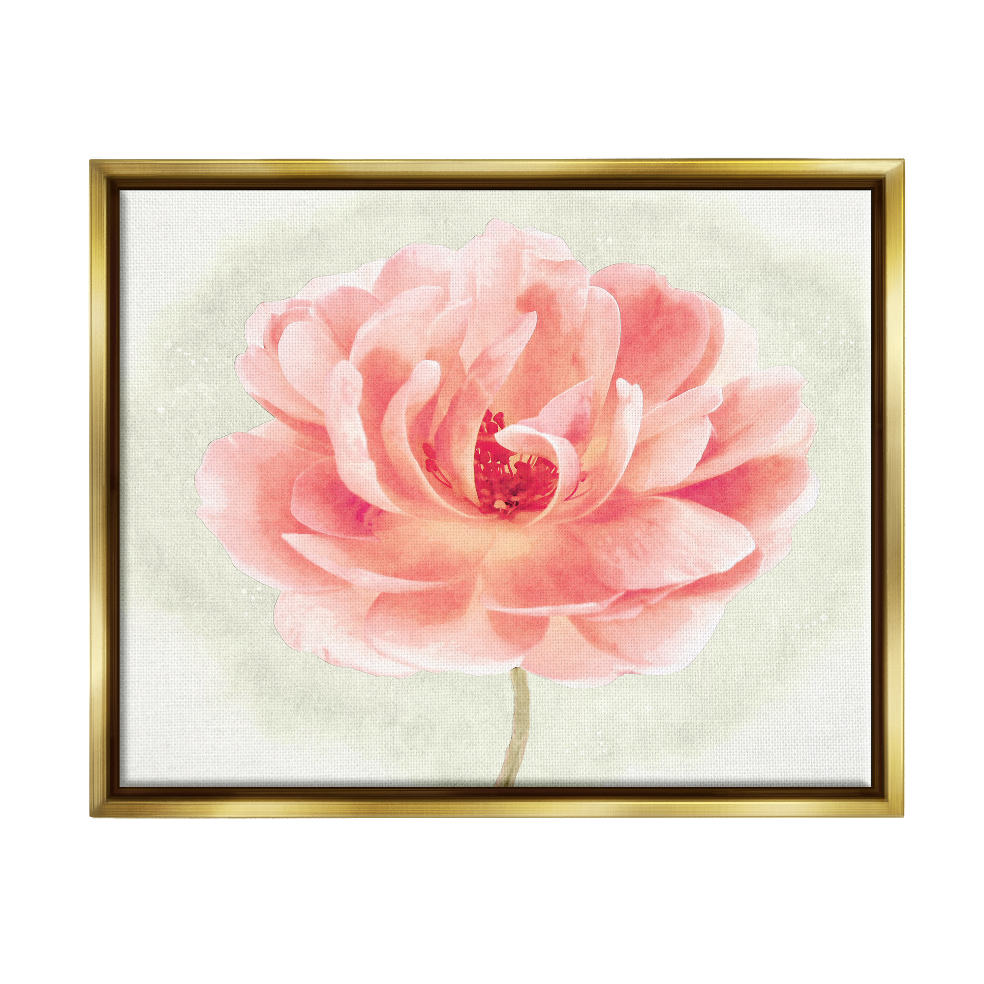 Stupell Industries Soft Pink Peony Botanical & Floral Painting Gold Floater Framed Canvas Art Print Wall Art, 31 x 25