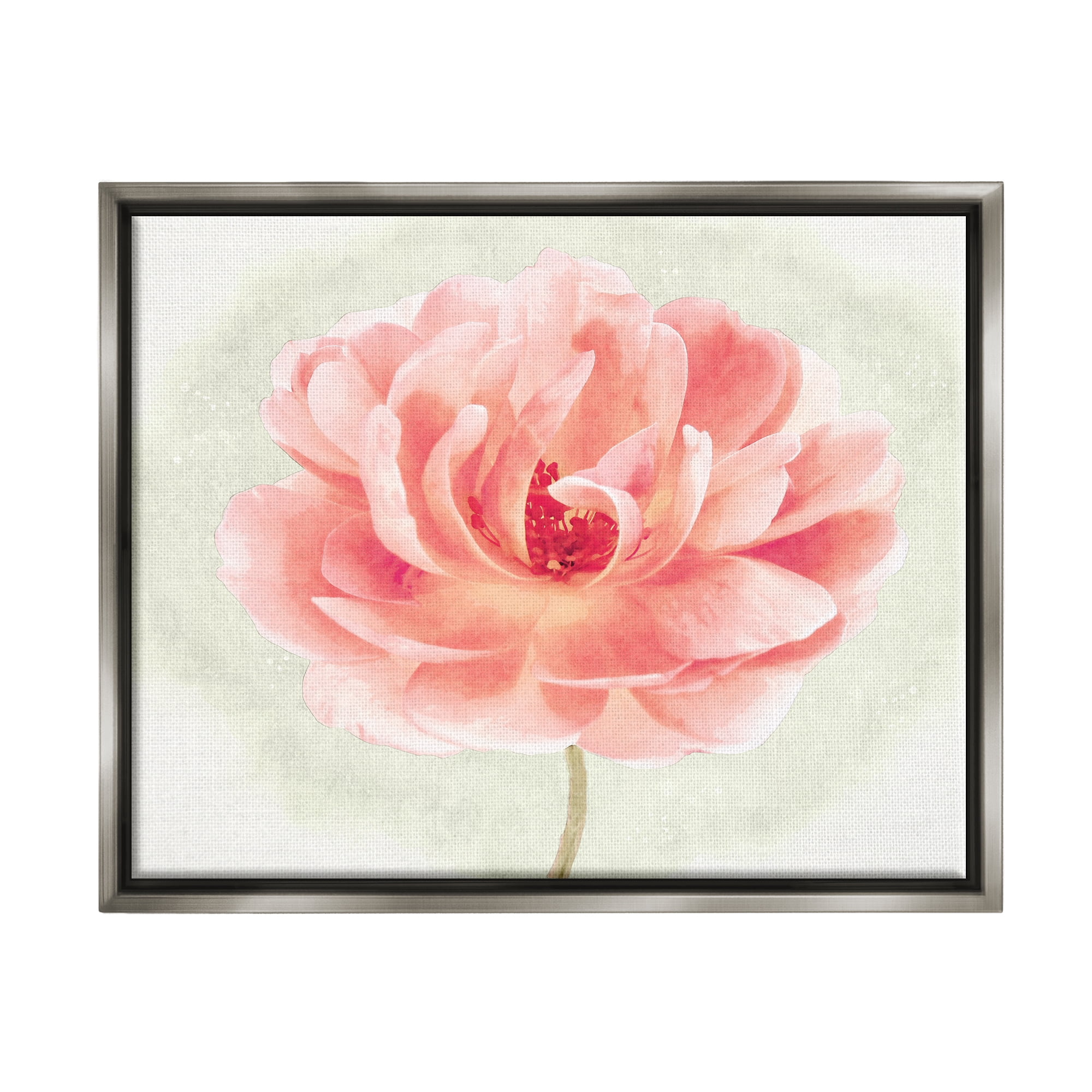 Stupell Industries Soft Pink Peony Botanical & Floral Painting Gray Floater Framed Canvas Art Print Wall Art, 21 x 17