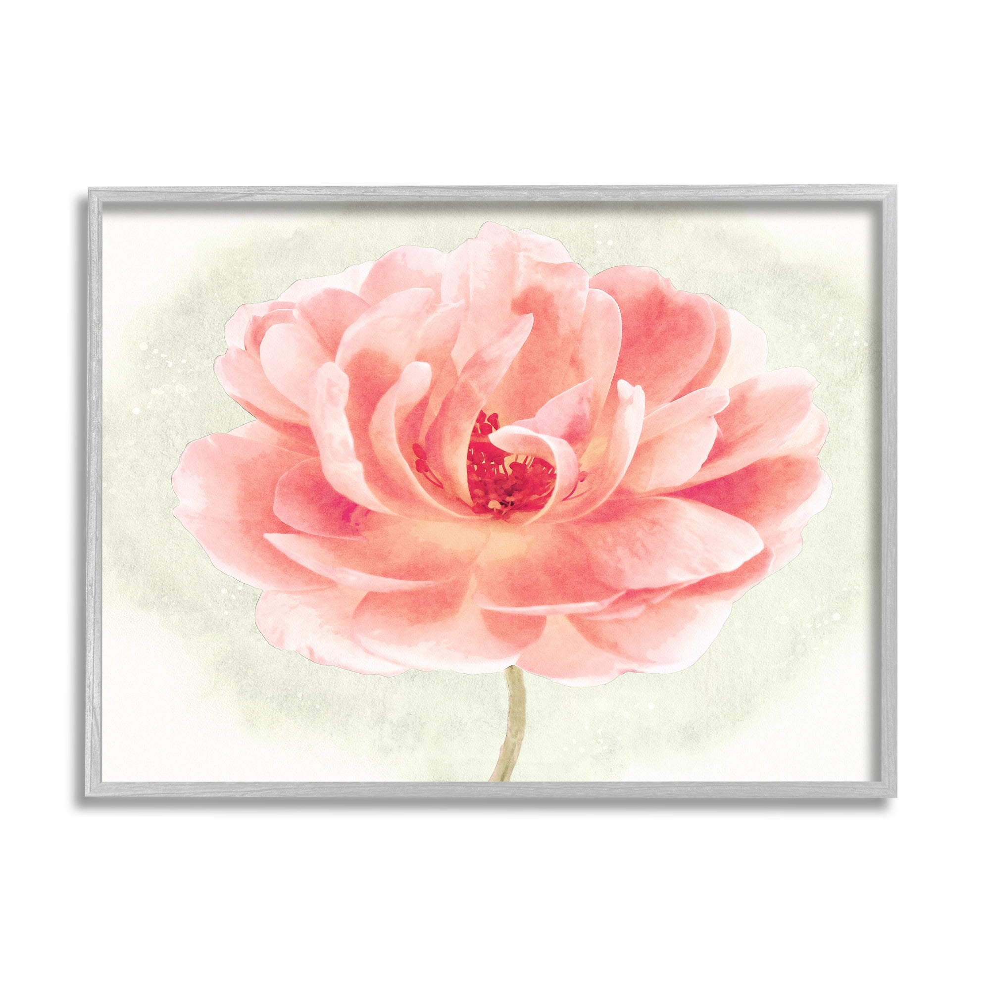 Stupell Industries Soft Pink Peony Botanical & Floral Painting Gray Framed Art Print Wall Art, 14 x 11