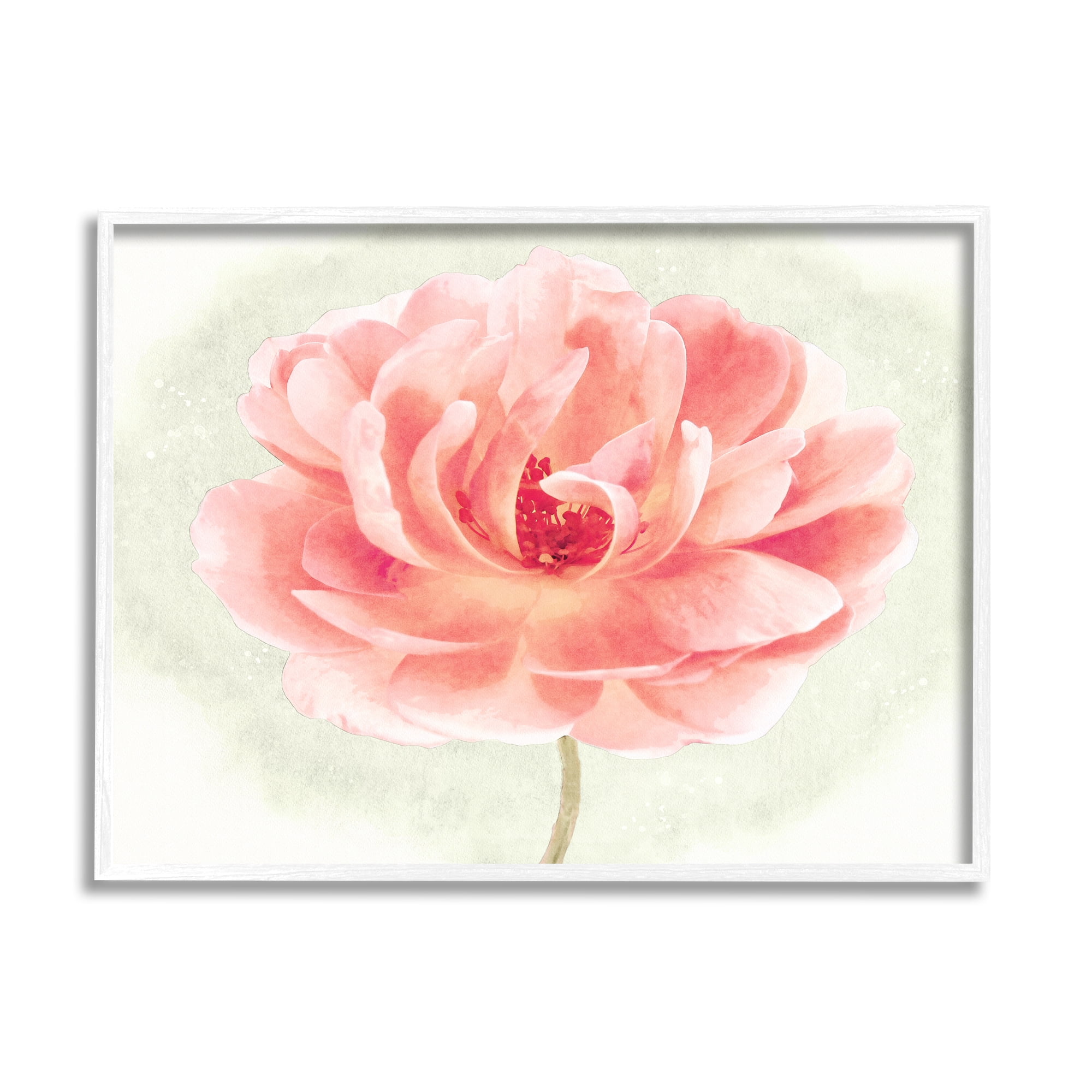 Stupell Industries Soft Pink Peony Botanical & Floral Painting White Framed Art Print Wall Art, 20 x 16