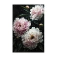thumbnail image 1 of Stupell Industries French Country Soft Pink Peony Garden Canvas Art, 30 x 45, by Petals Prints Design, 1 of 8
