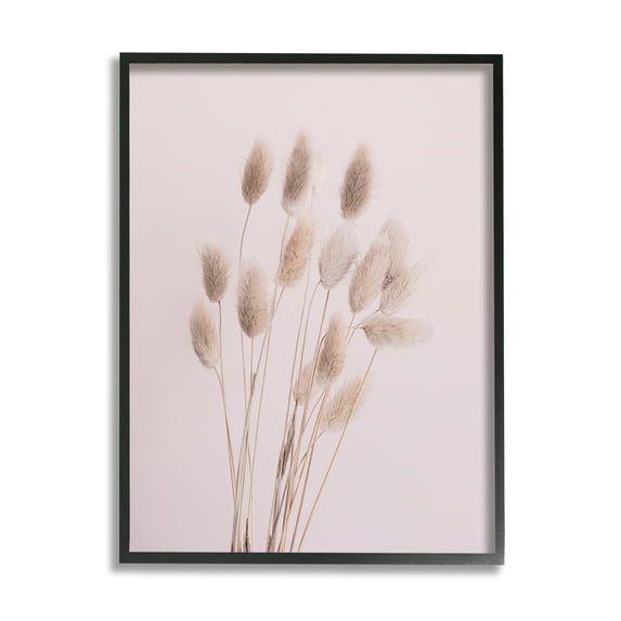 Stupell Industries Soft Pink Reed Sprigs Botanical & Floral Photography Black Framed Art Print Wall Art, 16 x 20