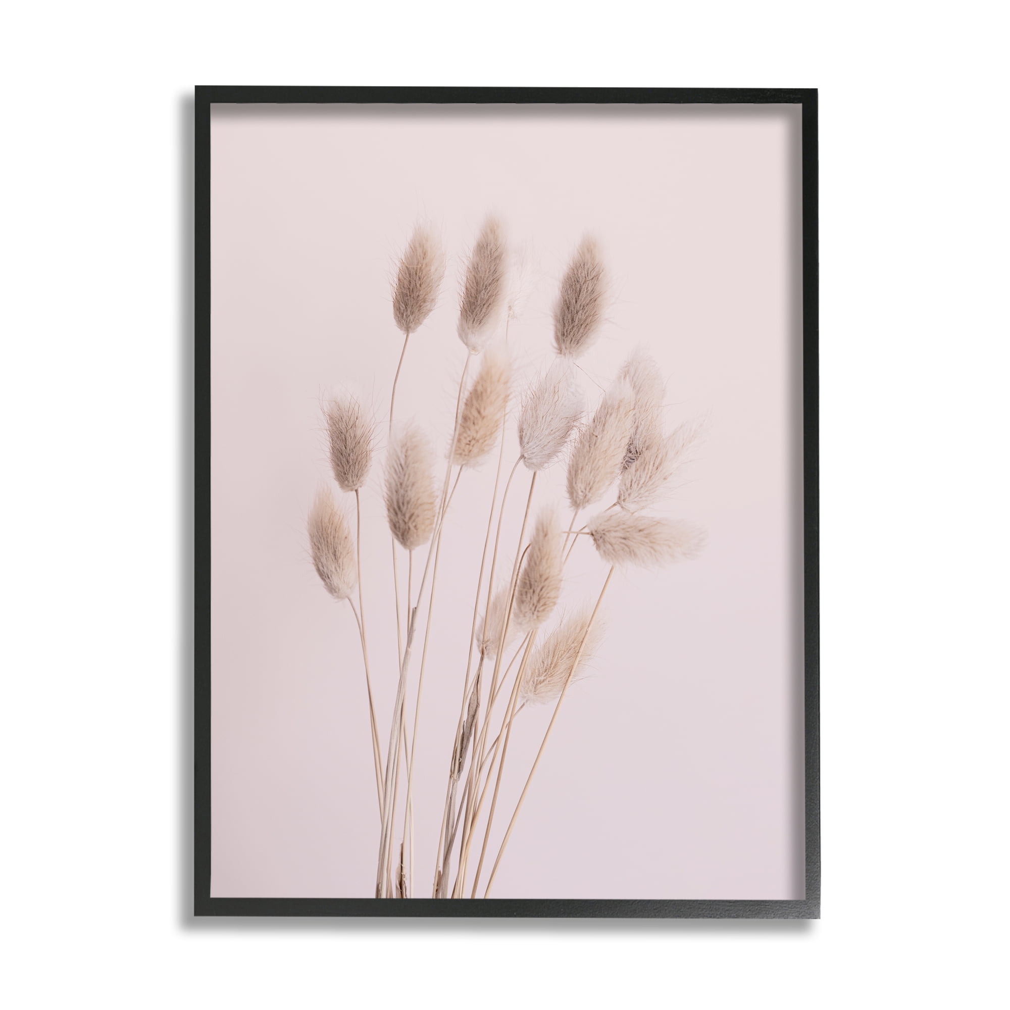 Stupell Industries Soft Pink Reed Sprigs Botanical & Floral Photography Black Framed Art Print Wall Art, 24 x 30