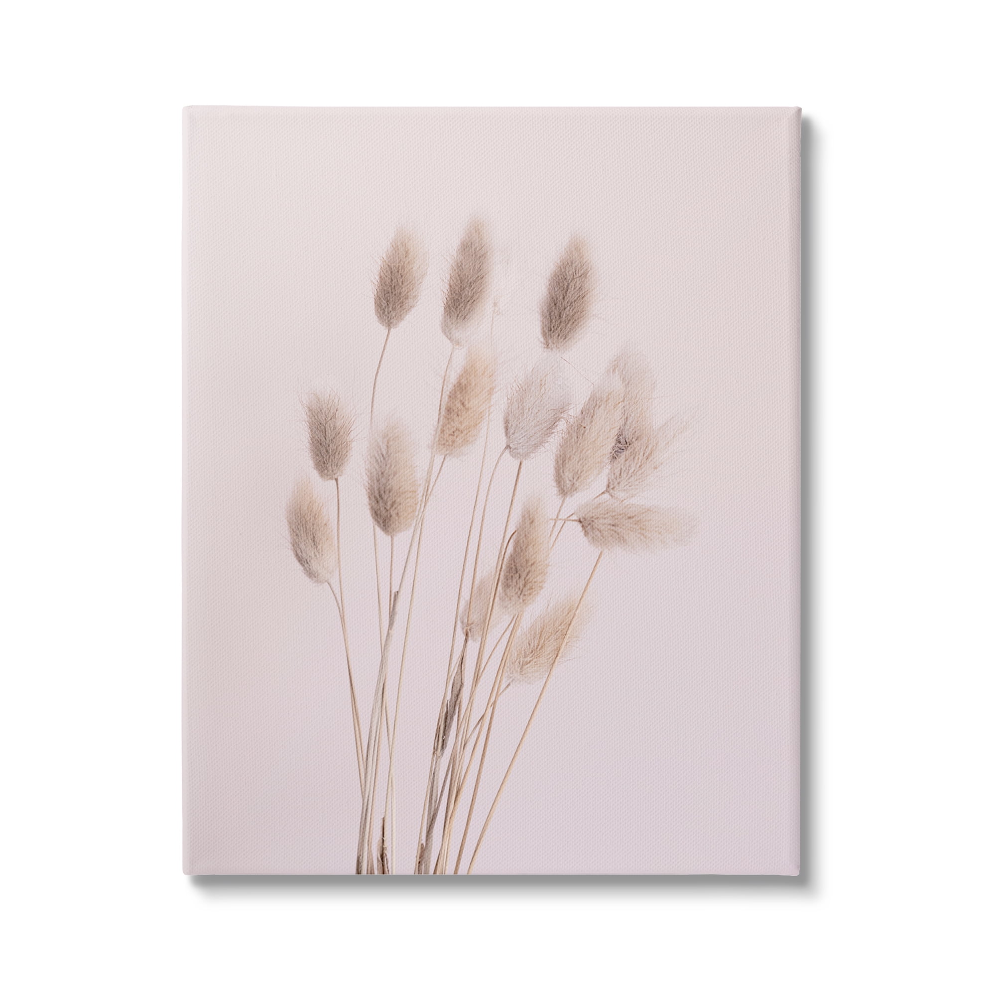 Stupell Industries Soft Pink Reed Sprigs Botanical & Floral Photography Gallery Wrapped Canvas Print Wall Art, 30 x 40
