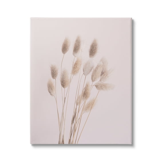 Stupell Industries Soft Pink Reed Sprigs Botanical & Floral Photography Gallery Wrapped Canvas Print Wall Art, 36 x 48