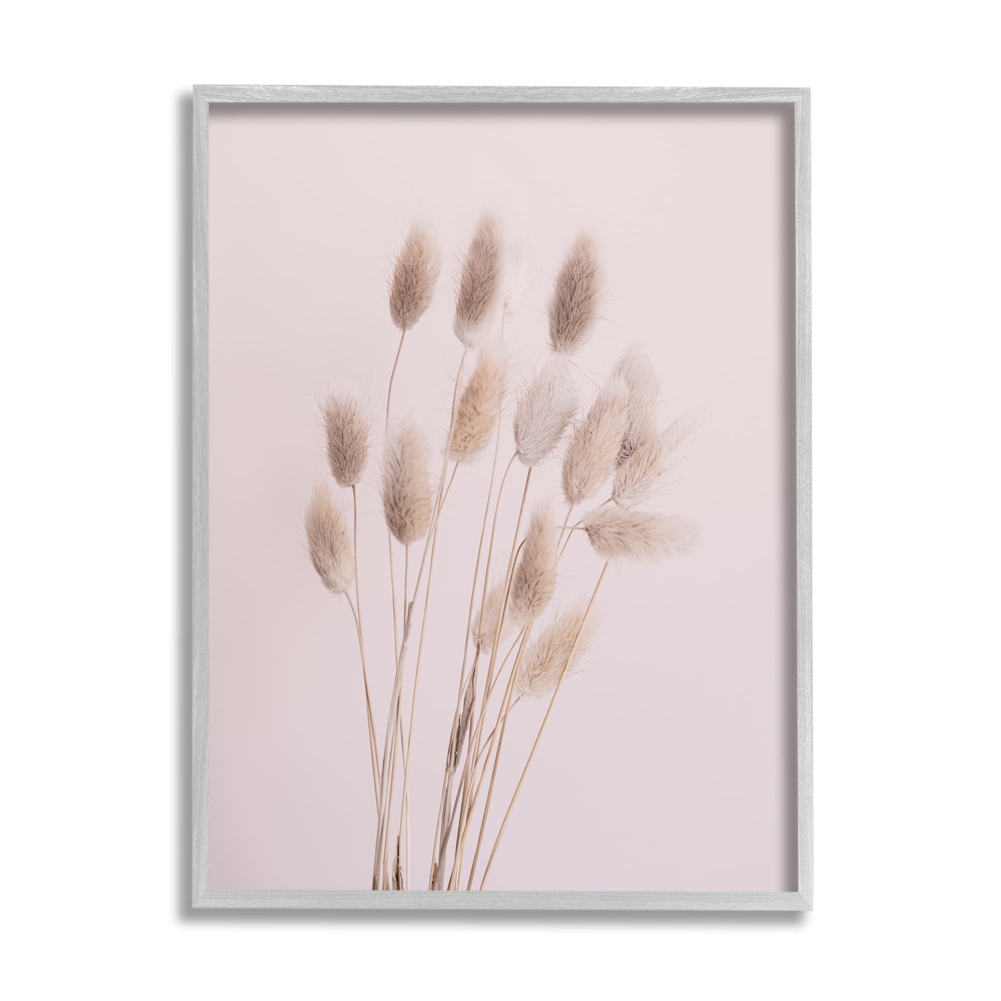 Stupell Industries Soft Pink Reed Sprigs Botanical & Floral Photography Gray Framed Art Print Wall Art, 24 x 30