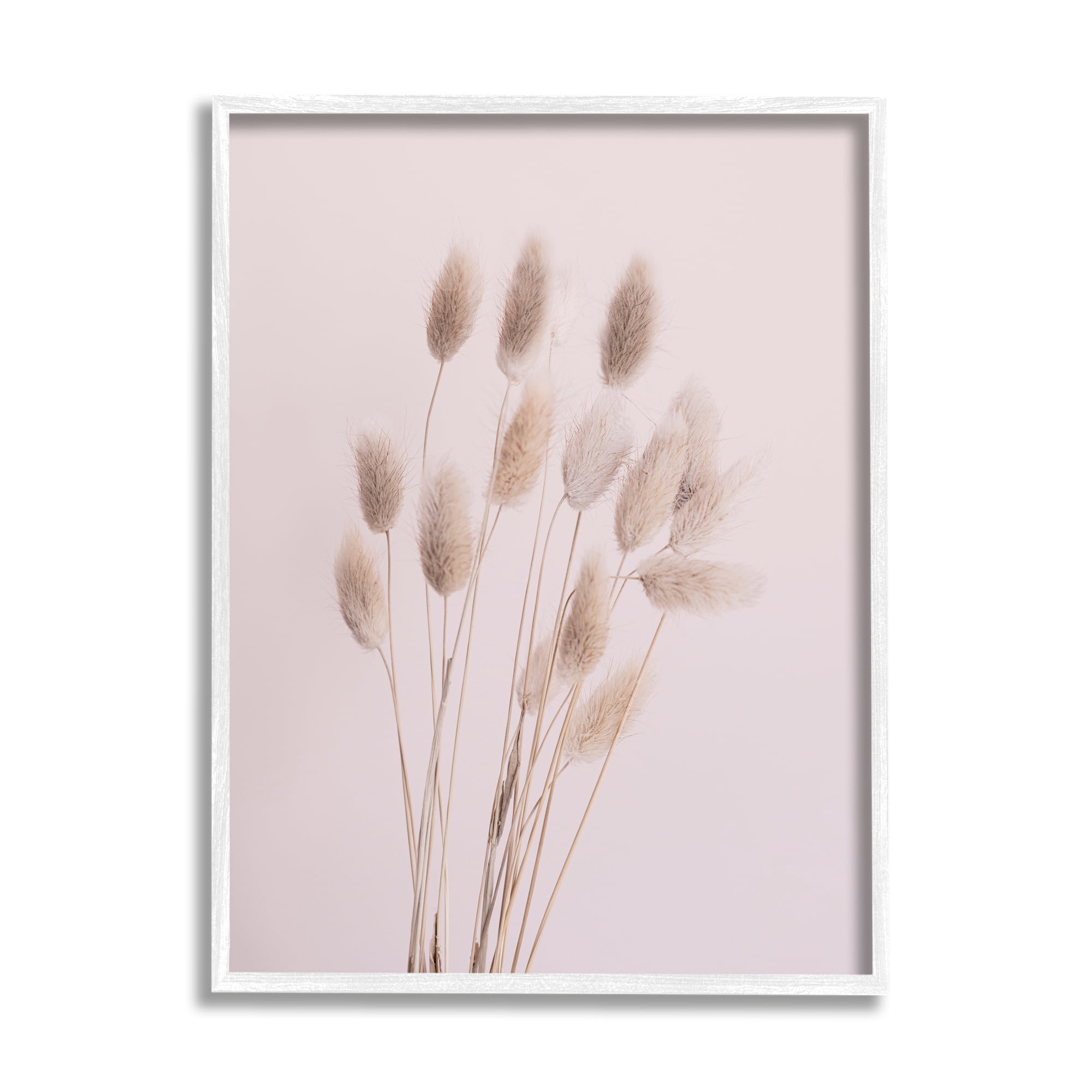 Stupell Industries Soft Pink Reed Sprigs Botanical & Floral Photography White Framed Art Print Wall Art, 11 x 14