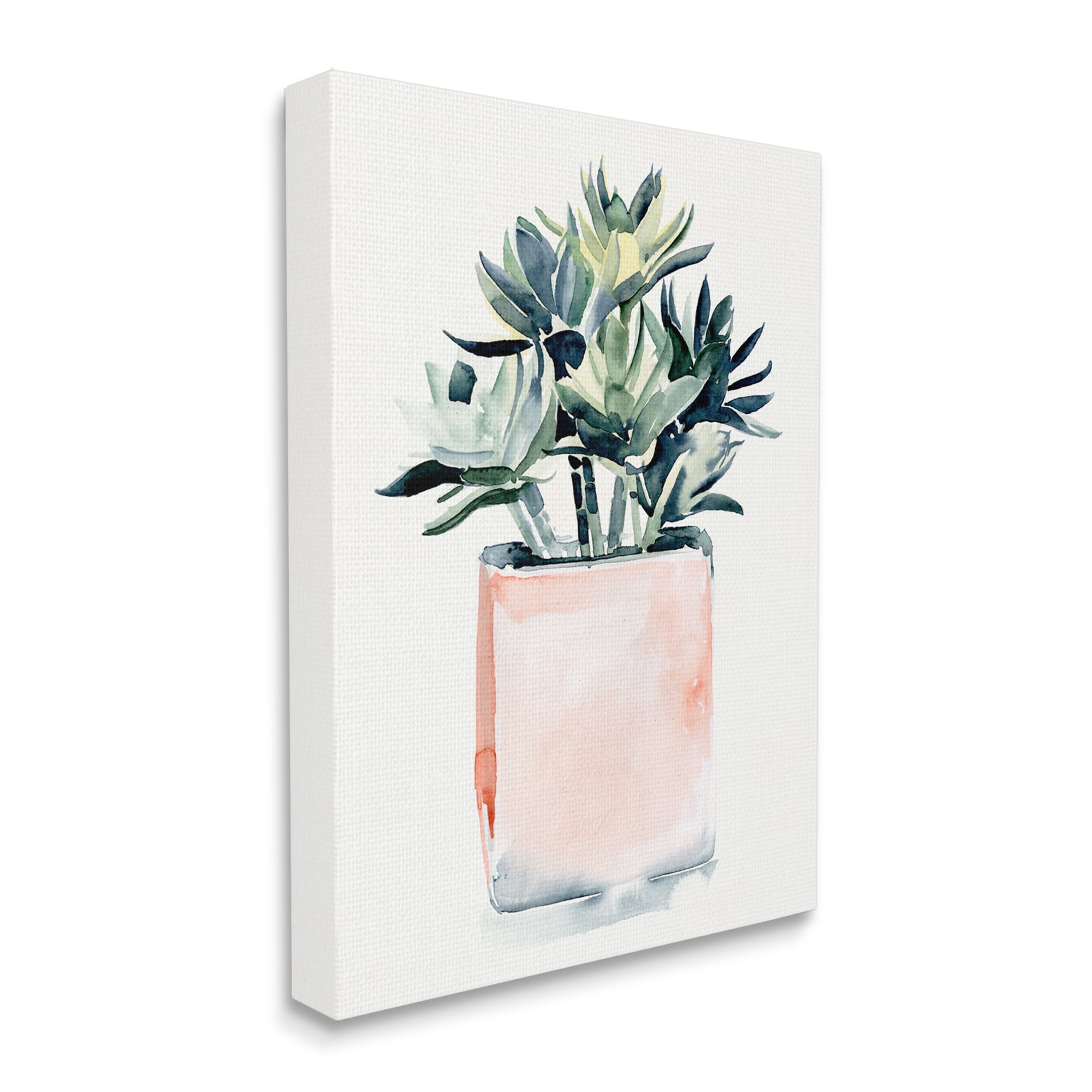Stupell Industries Soft Potted Succulent Still-Life Indoor House Plant Coastal Painting Gallery-Wrapped Canvas Print Wall Art, 36 x 48, Design by Jennifer Paxton Parker