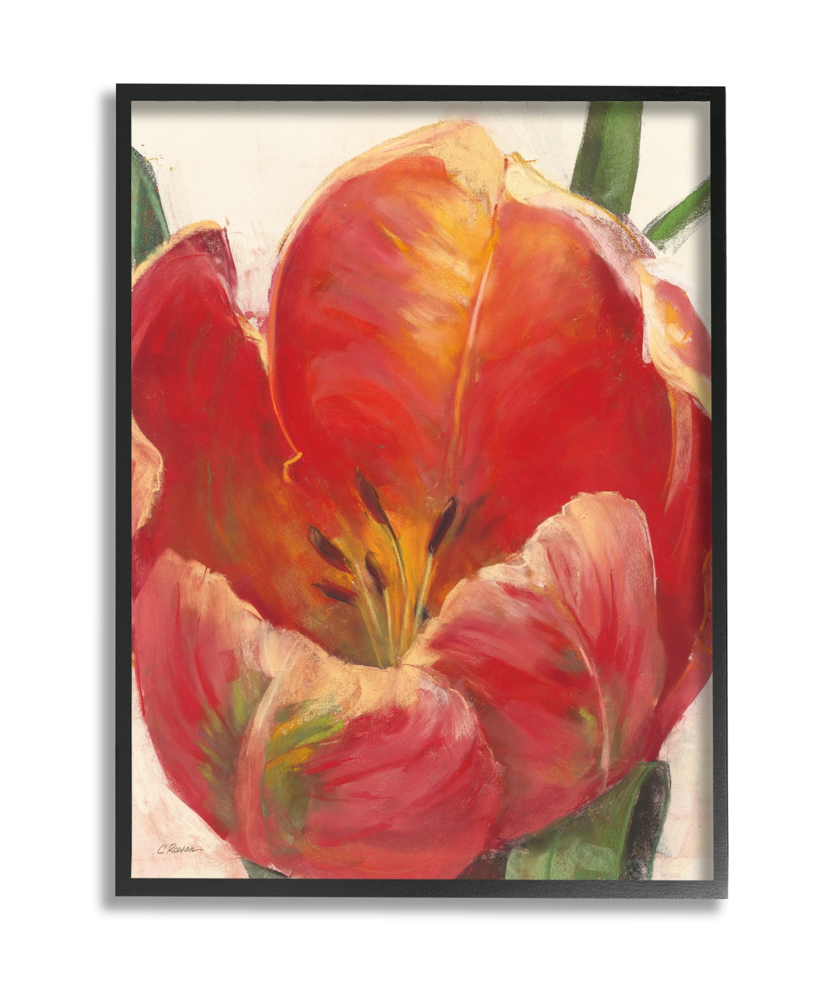Stupell Industries Soft Red Tulip Floral Close-Up Petal Detail Black Framed, 16 x 20, Design by Carol Rowan