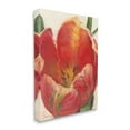 thumbnail image 1 of Stupell Industries Soft Red Tulip Floral Close-Up Petal Detail Canvas Wall Art, 16 x 20, Design by Carol Rowan, 1 of 5