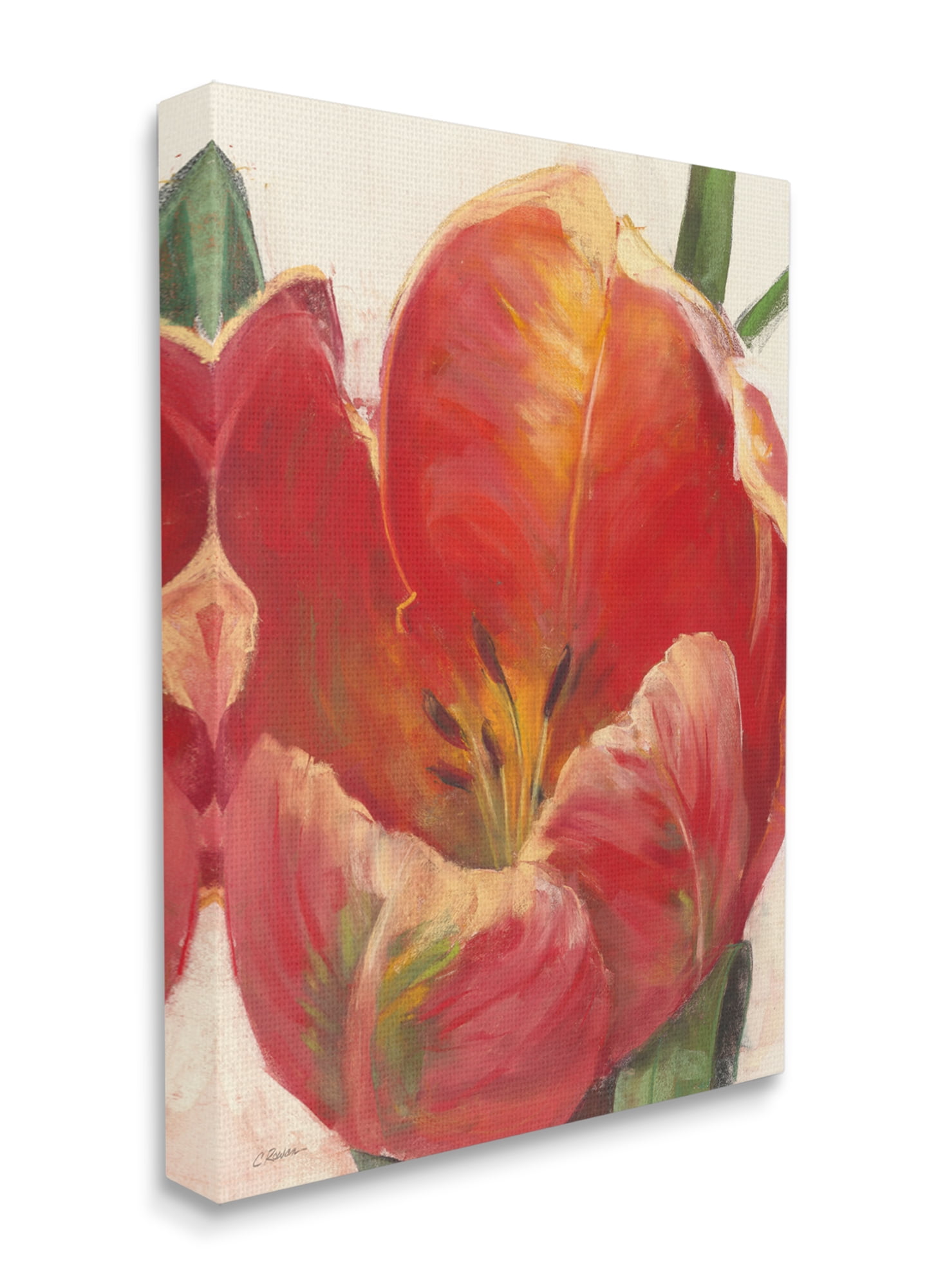 Stupell Industries Soft Red Tulip Floral Close-Up Petal Detail Canvas Wall Art, 36 x 48, Design by Carol Rowan