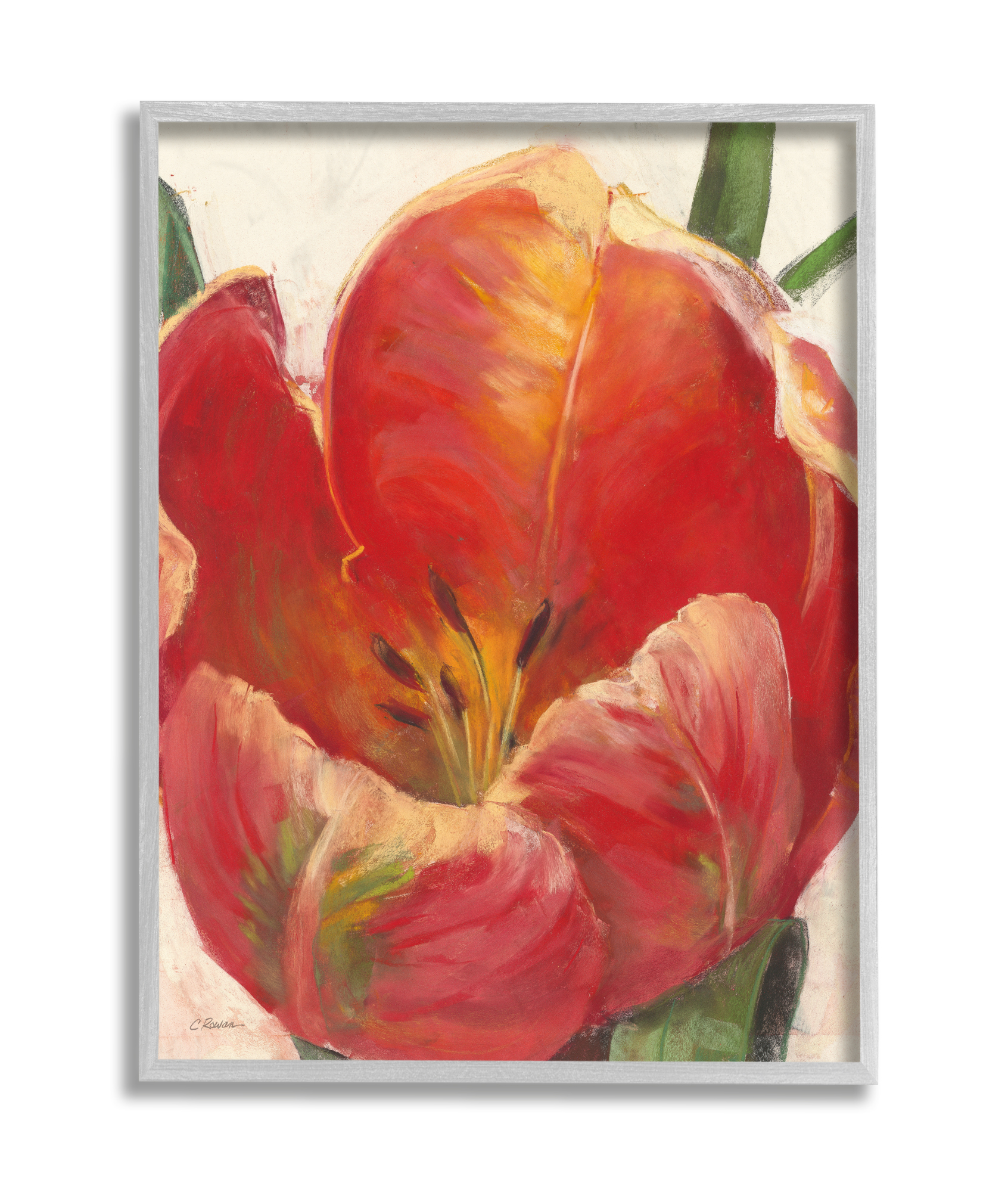 Stupell Industries Soft Red Tulip Floral Close-Up Petal Detail Grey Framed, 16 x 20, Design by Carol Rowan