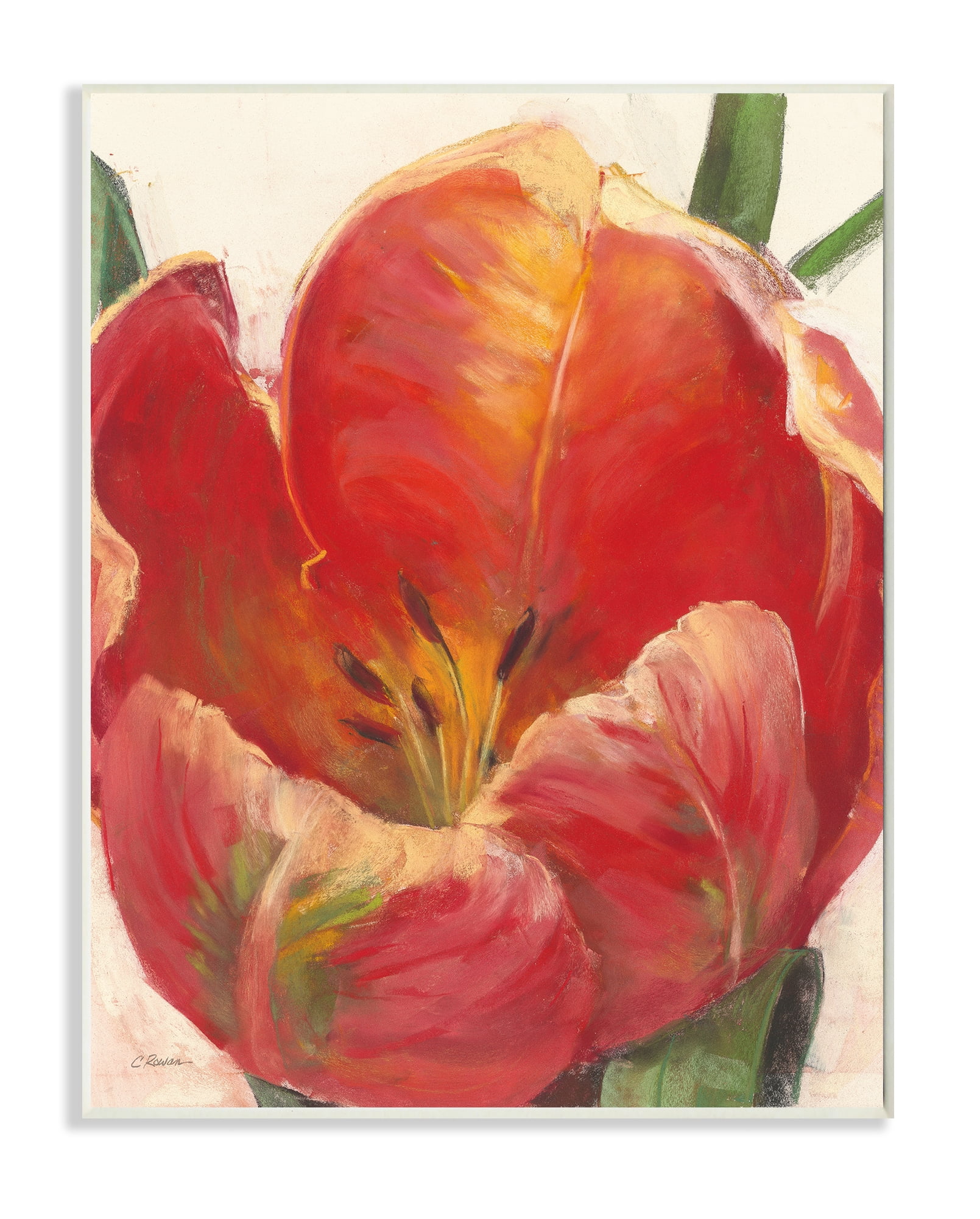 Stupell Industries Soft Red Tulip Floral Close-Up Petal Detail Wall Plaque, 13 x 19, Design by Carol Rowan