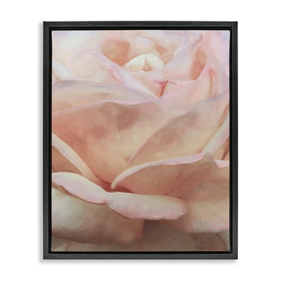 Stupell Industries Soft Rose Petals Botanical & Floral Painting Black Floater Framed Art Print Wall Art, 17 x 21