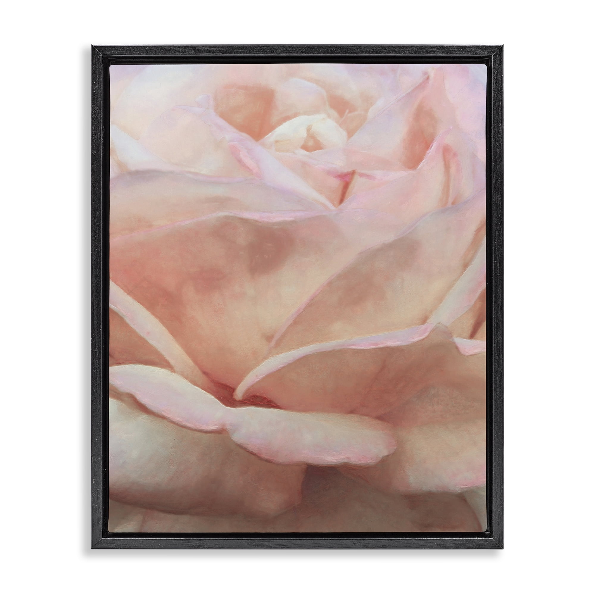 Stupell Industries Soft Rose Petals Botanical & Floral Painting Black Floater Framed Art Print Wall Art, 25 x 31